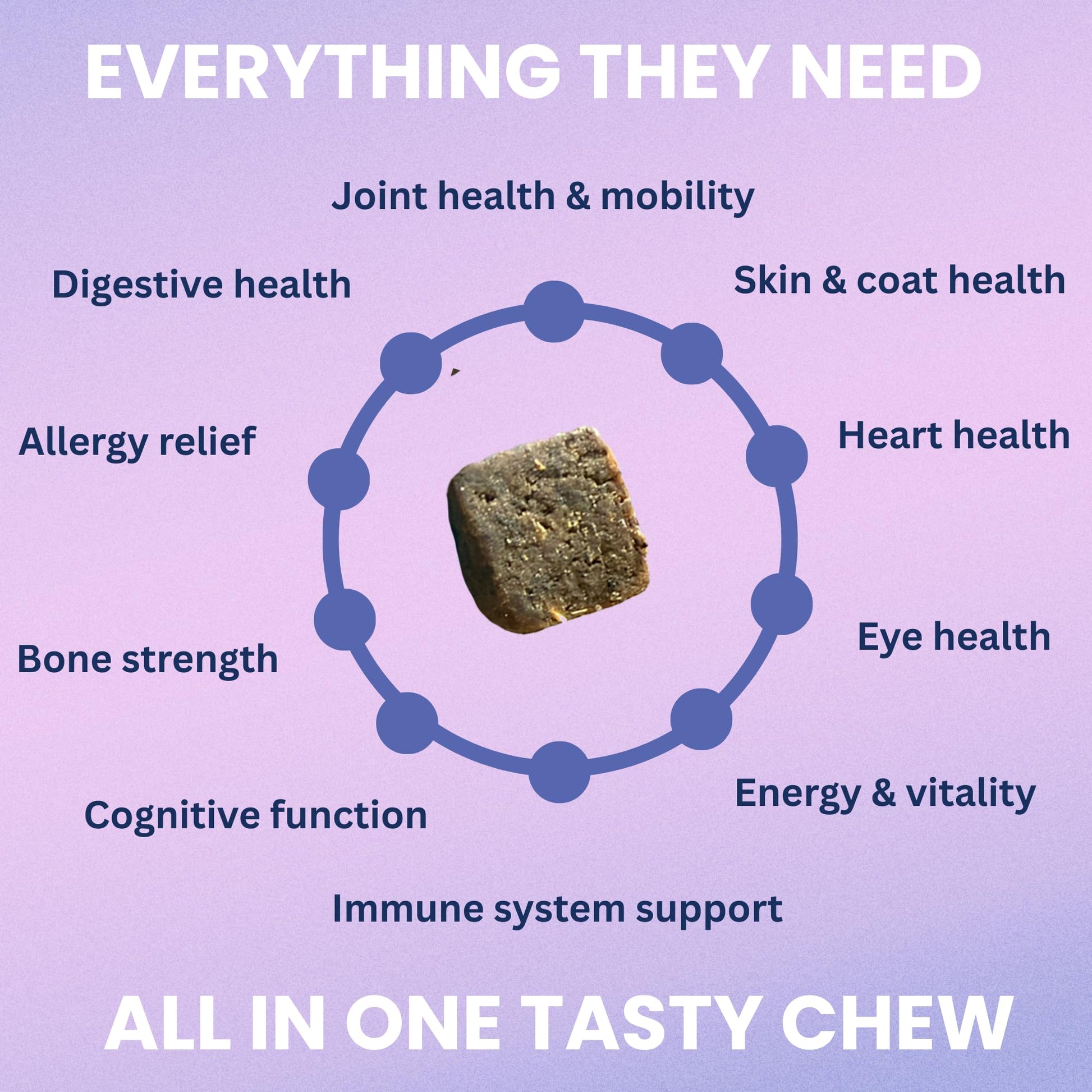 Under the Weather Multivitamin for Dogs | Vet Formulated Daily Canine Health Supplies for Immunity, Skin, Coat & Joint Support | All-in-One Multivitamin for Dogs of All Breeds & Sizes | 60 Count Under the Weather uk supplements
