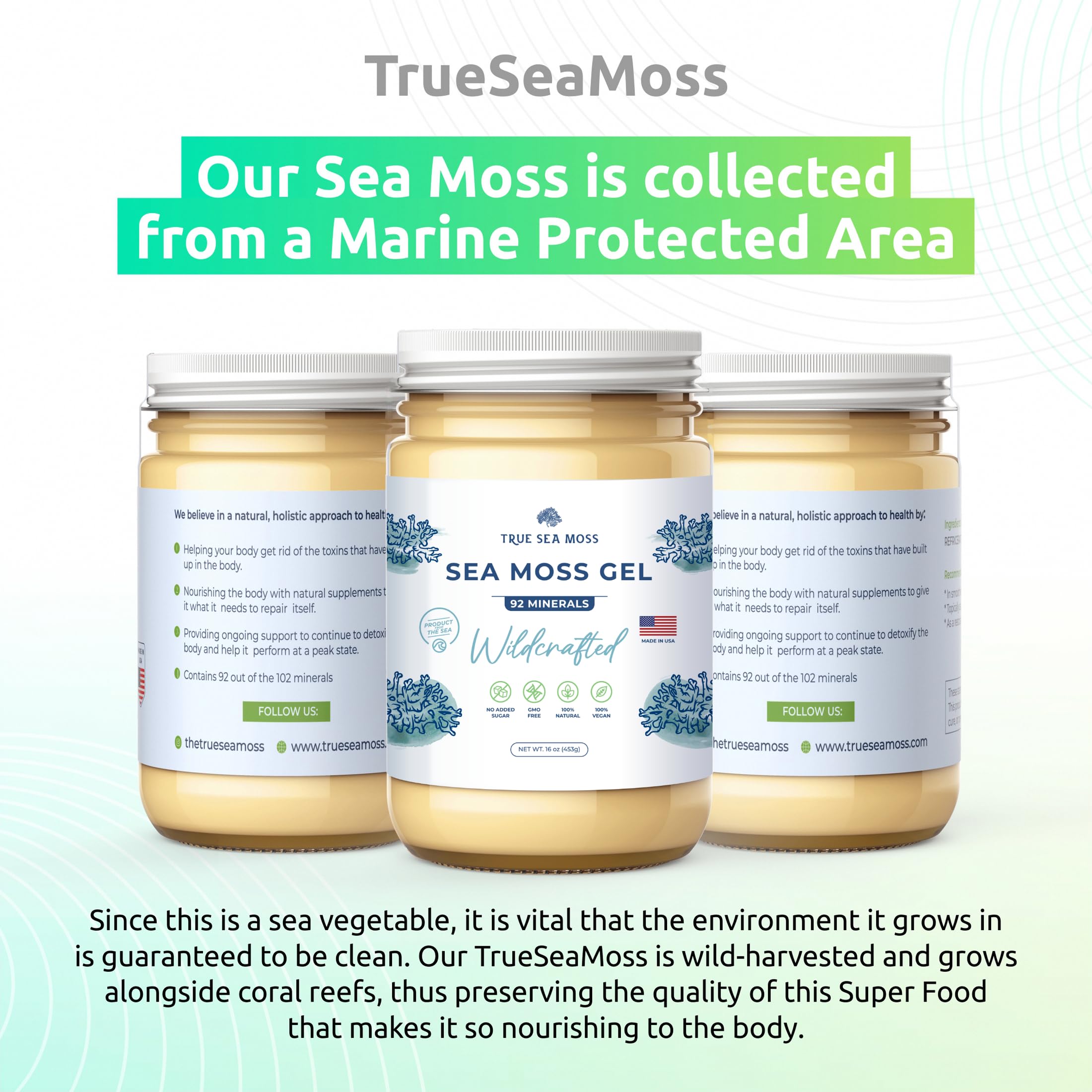 TrueSeaMoss Wildcrafted Irish Sea Moss Gel – Nutritious Raw Seamoss Rich in Minerals TrueSeaMoss uk supplements