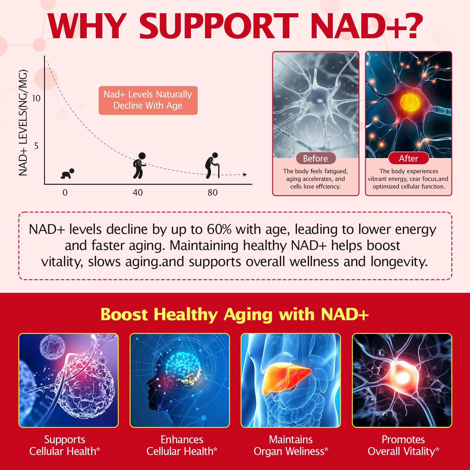 KITNOBLIS NAD+ Supplement for Women 1000mg - High Potency Cellular Energy Booster with PQQ, Resveratrol - Health, Anti-Aging Support （21pcs） KITNOBLIS uk supplements