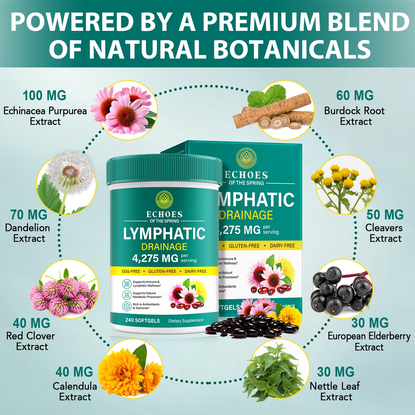 Lymphatic Drainage Supplements, 4275mg Lymph System Support Supplement for Women & Men, Daily Wellness Support, 21-in-1 Herbal Blend with Echinacea, Dandelion, Burdock, Turmeric & More, 240 Softgels Echoes of the spring uk supplements
