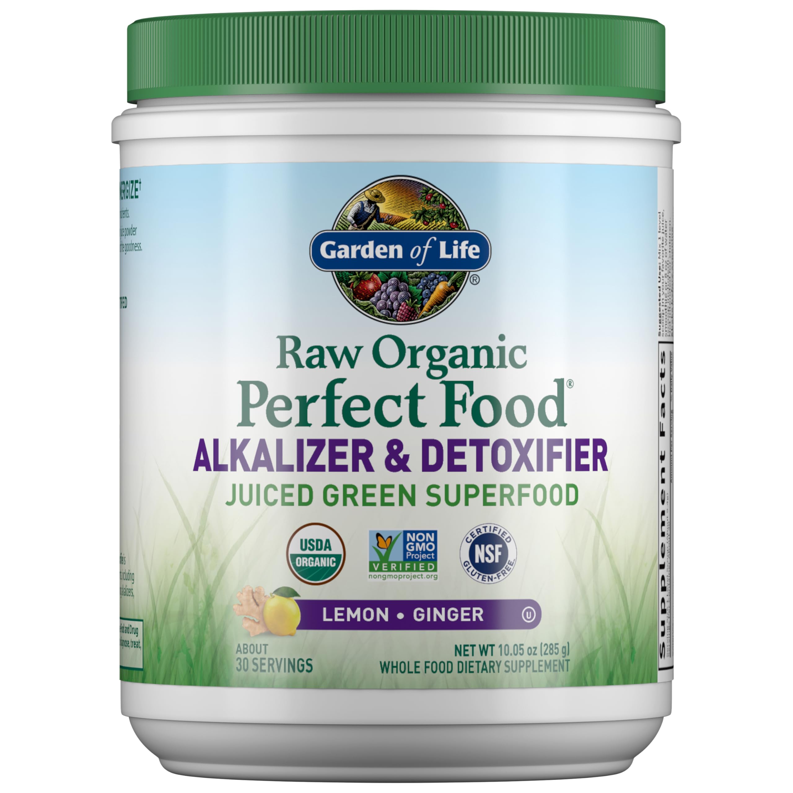 Garden of Life Raw Organic Perfect Food Alkalizer and Detoxifier, Lemon Ginger Flavored Superfood Powder Supplement, 30 Servings Garden of Life uk supplements