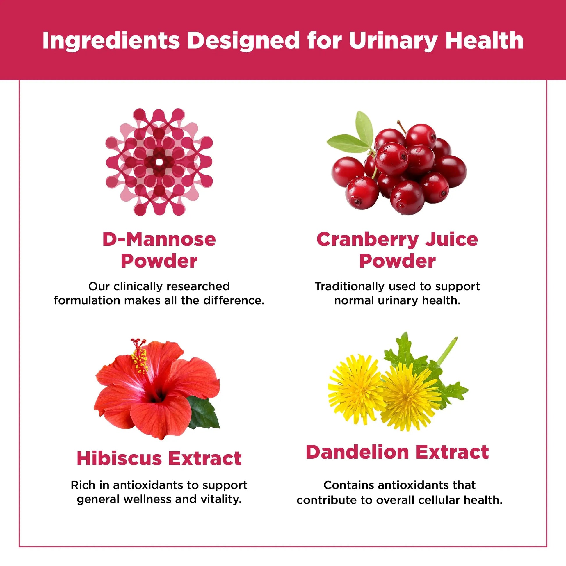 Plantvital D Mannose Capsules with Cranberry - D-mannose 1000mg Capsules - High Potency for Bladder, Kidney and Urinary Tract Support. Cranberry Powder with Hibiscus and Dandelion. 2 Months Supply Plantvital uk supplements