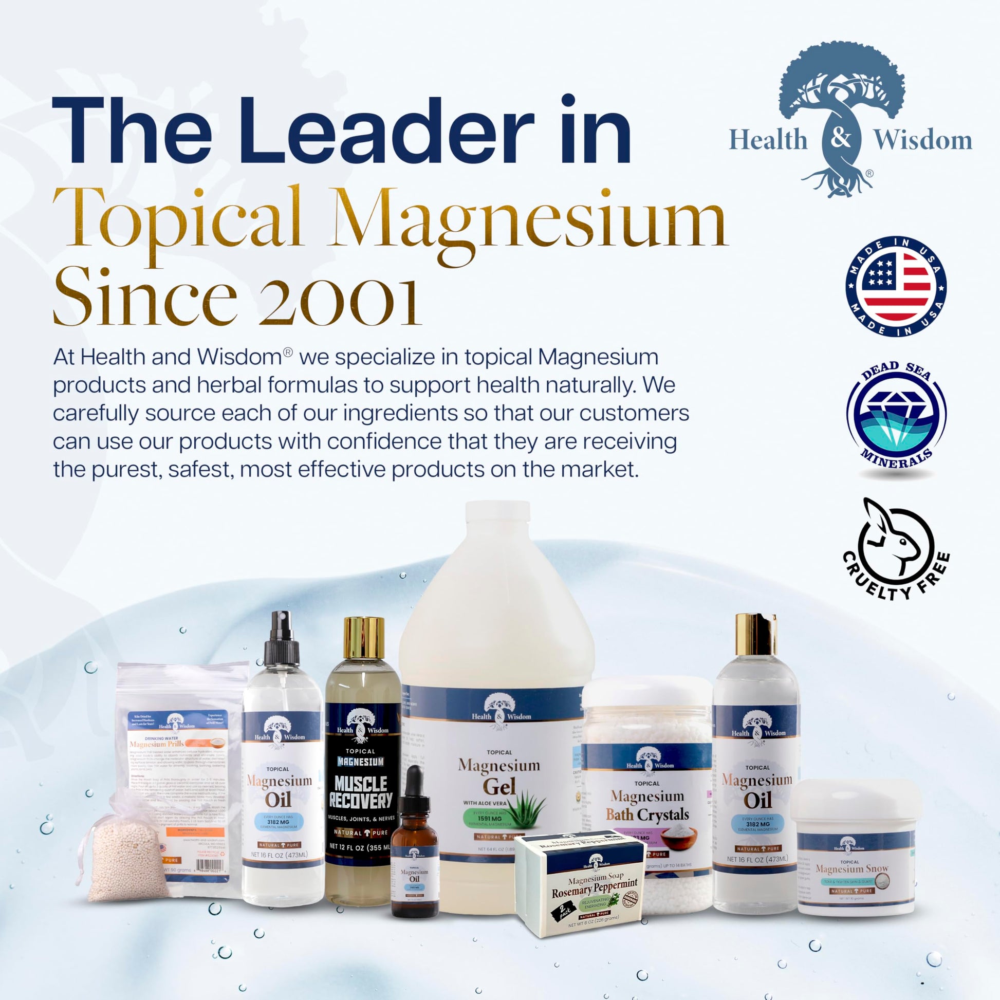Health and Wisdom Pure Magnesium Gel with Seaweed Extract and Aloe Vera - Topical Muscle & Joint Relief- Natural and Pure Skin & Scalp Moisturizing - Enhanced Absorption - 12 Fl oz Health and Wisdom uk supplements