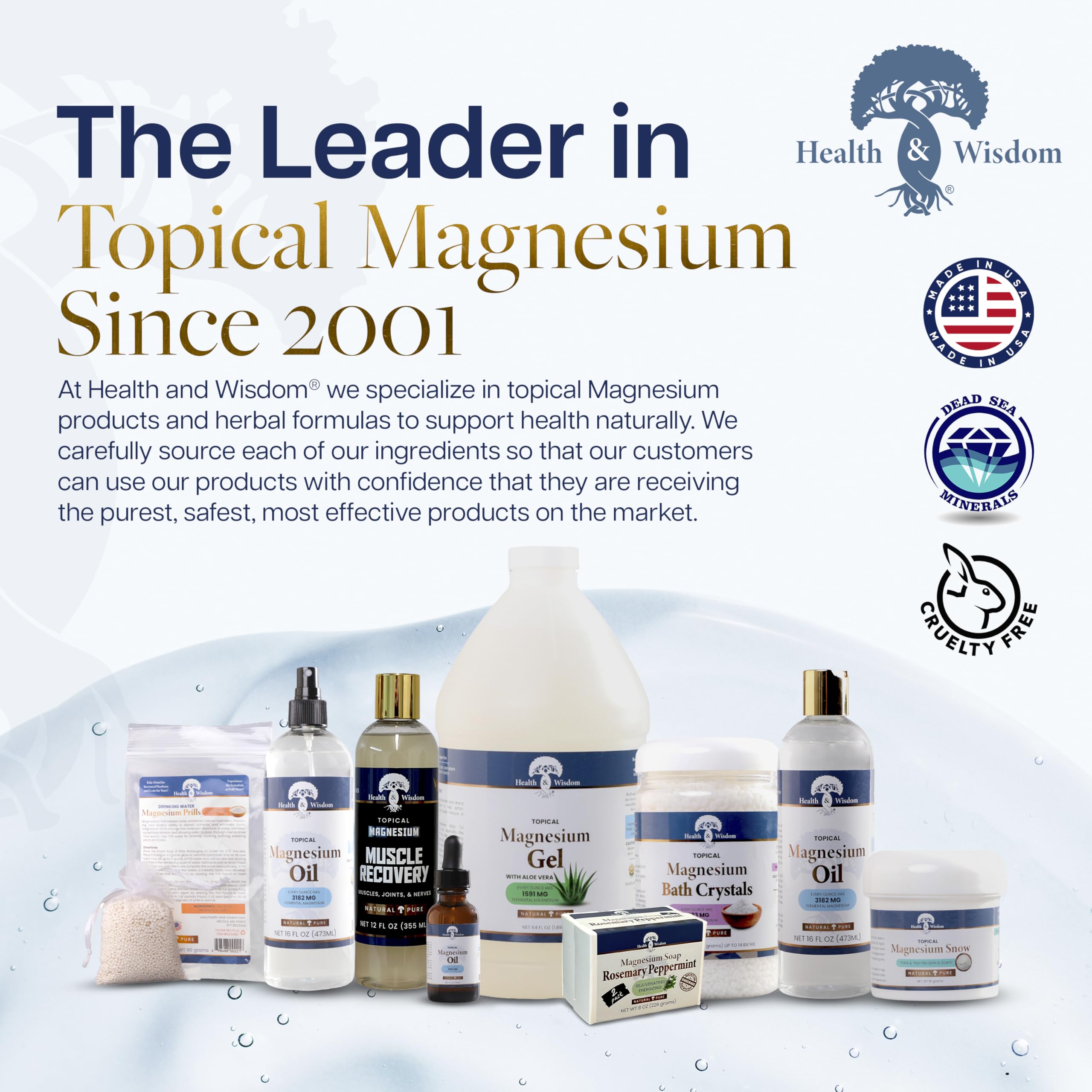 Health and Wisdom Pure Magnesium Gel with Seaweed Extract and Aloe Vera - Topical Muscle & Joint Relief- Natural and Pure Skin & Scalp Moisturizing - Enhanced Absorption - 12 Fl oz Health and Wisdom uk supplements