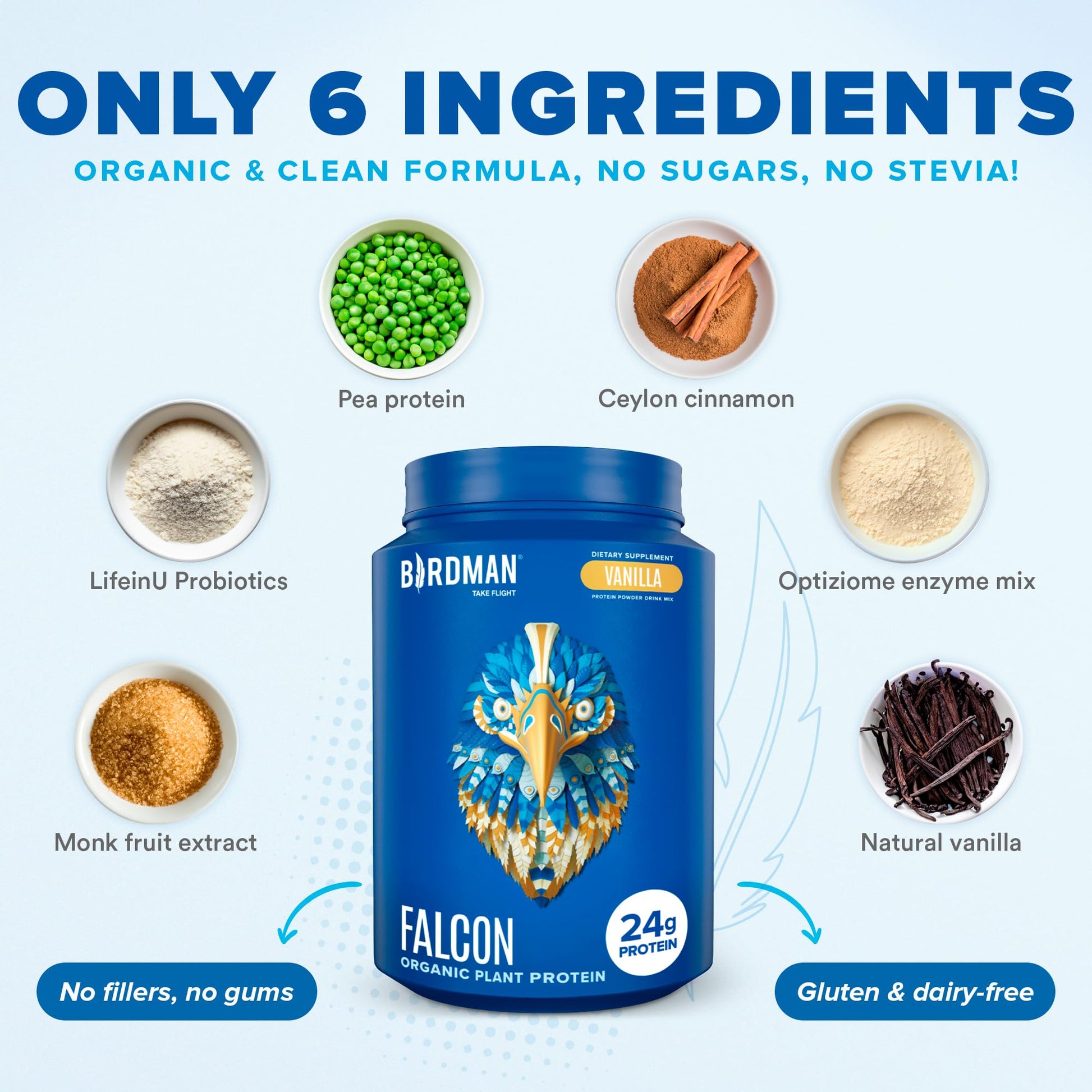 BIRDMAN Falcon Vegan Protein Powder Organic, Stevia & Sugar Free, Plant Based Protein BIRDMAN uk supplements