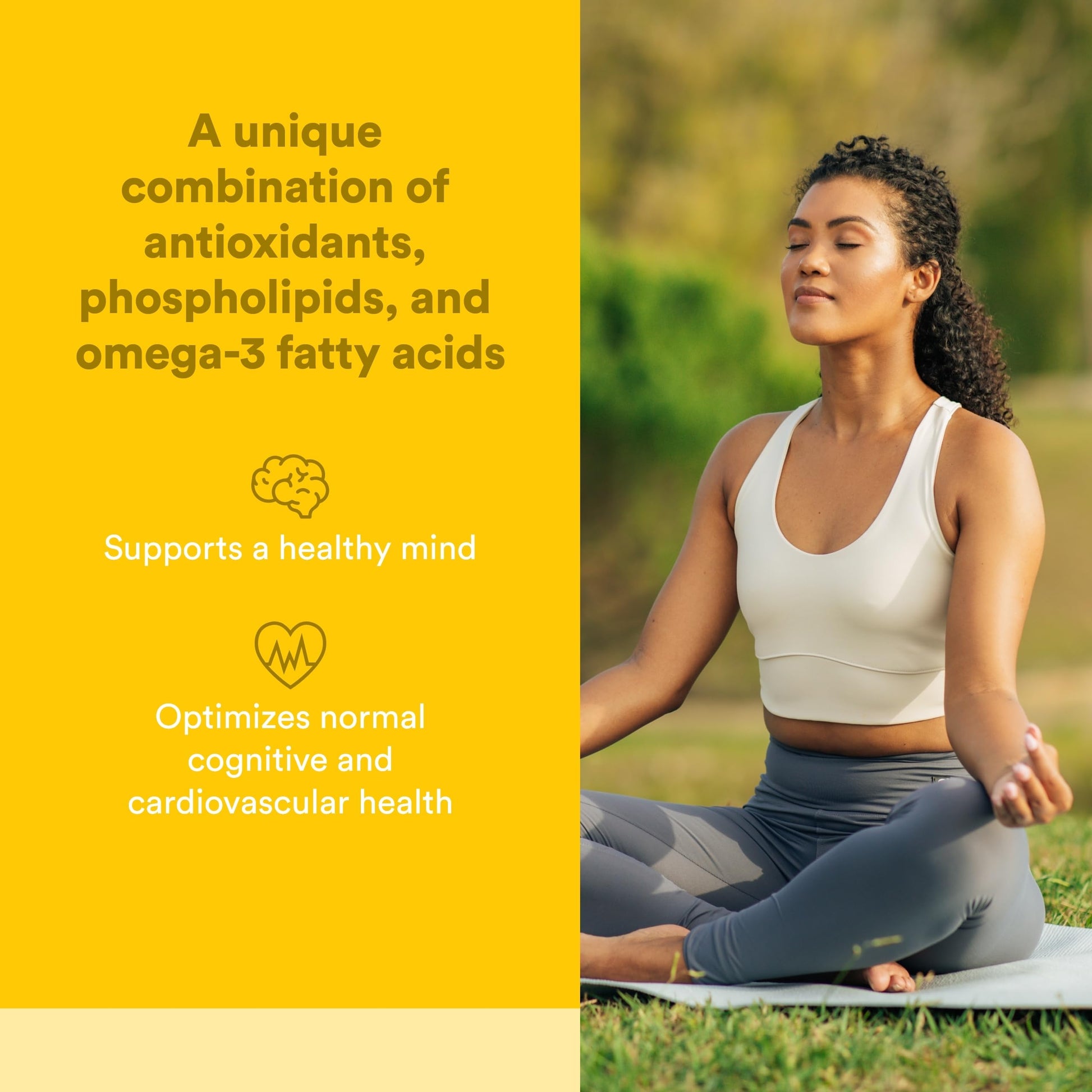 Natural Factors Higher Thoughts - Supports Cognitive & Cardiovascular Health* - Fish Oil, Fatty Acids, EPA, DHA & More - 90 Softgels Natural Factors uk supplements