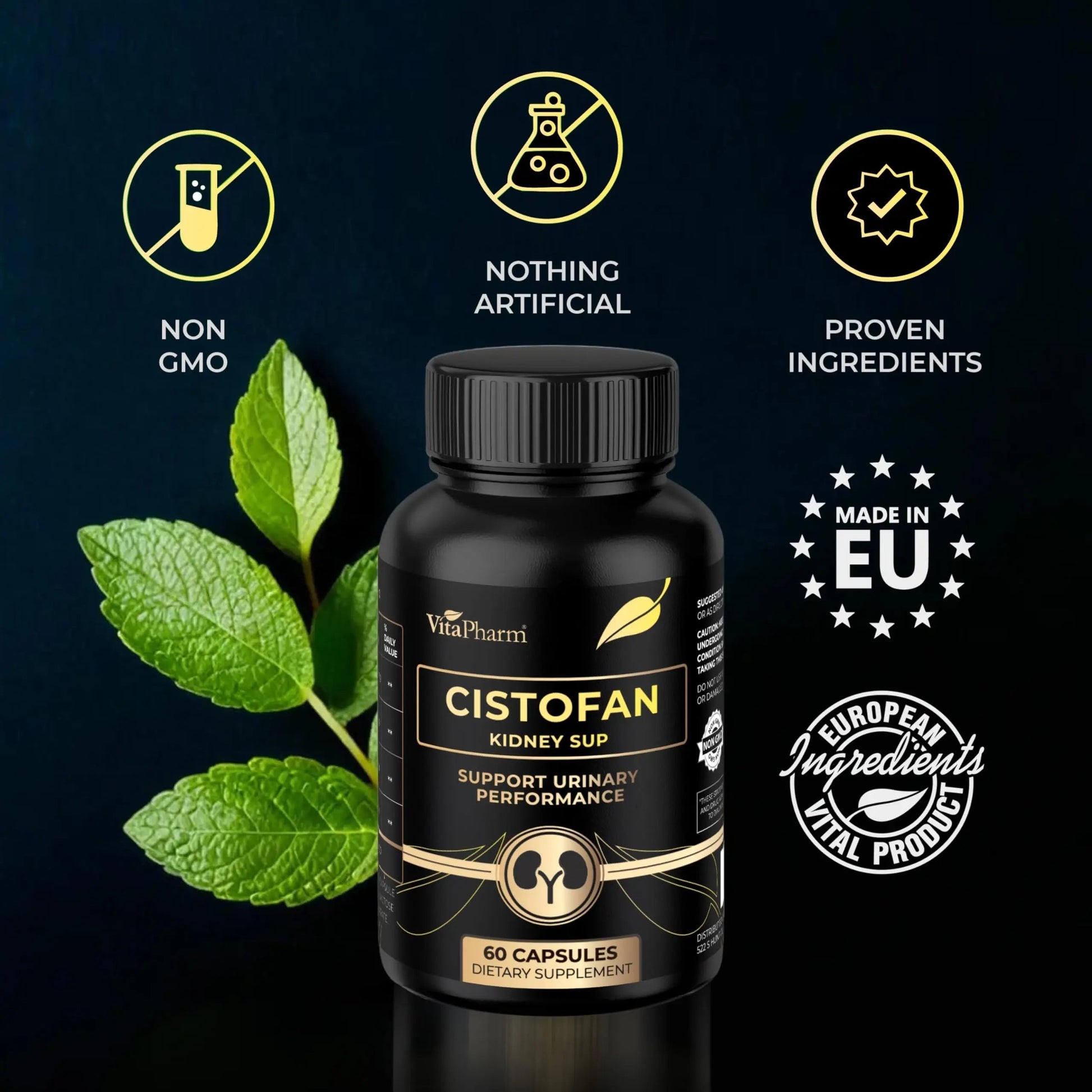 CISTOFAN Kidney Support Supplement – Herbal Formula with Java Tea, Birch Leaf, Parsley & Cranberry – Supports Urinary Tract & Kidney Function – Natural Diuresis – 60 Capsules – Non-GMO – Made in EU VitaPharm uk supplements