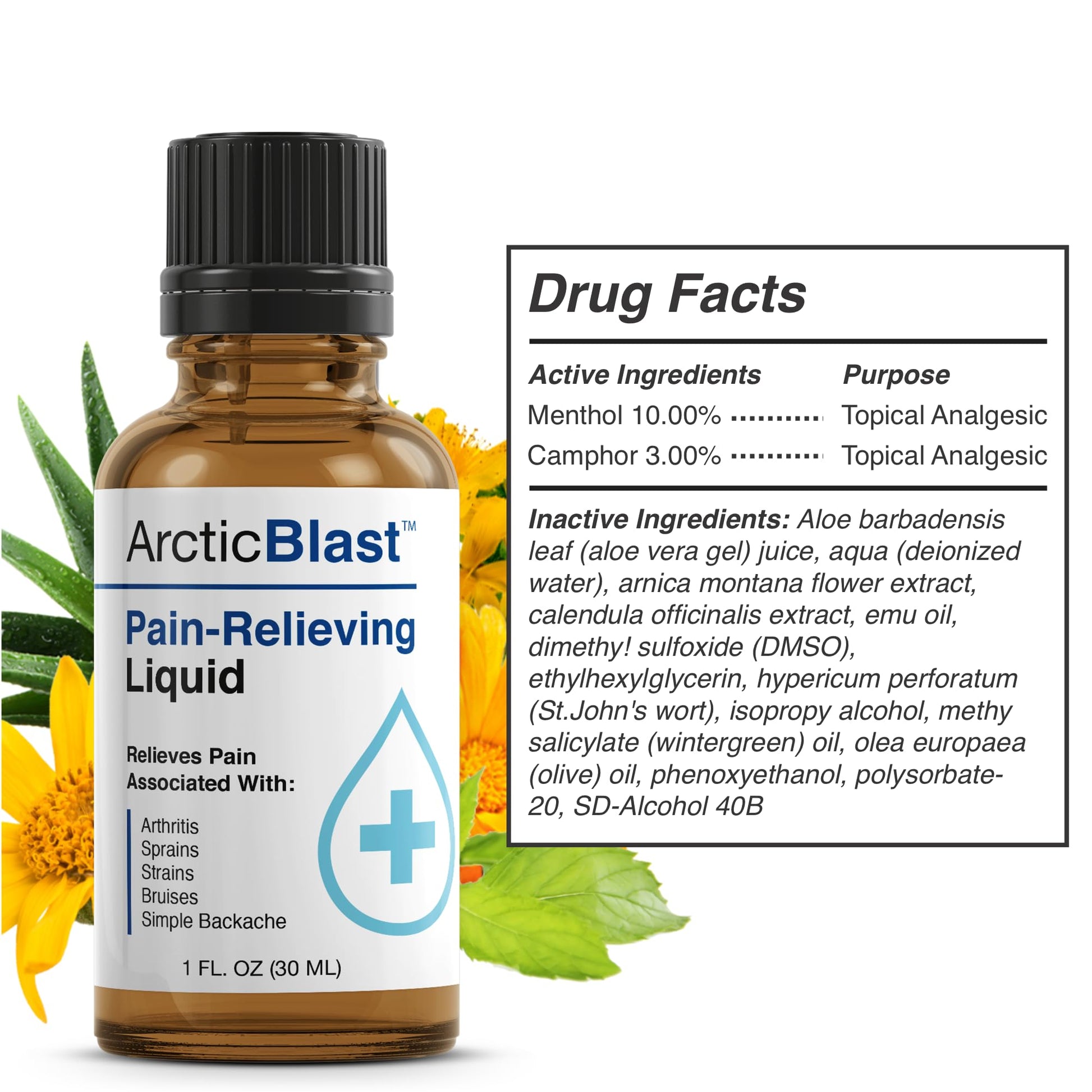 N Labs Arctic Blast Premium Topical Pain Relief Drops – Fast Absorbing DMSO, Menthol & Camphor for Back, Knee, Shoulder, Joint & Muscle Pain – Cooling Rub Formula – Made in USA – 1 fl oz N-Labs uk supplements