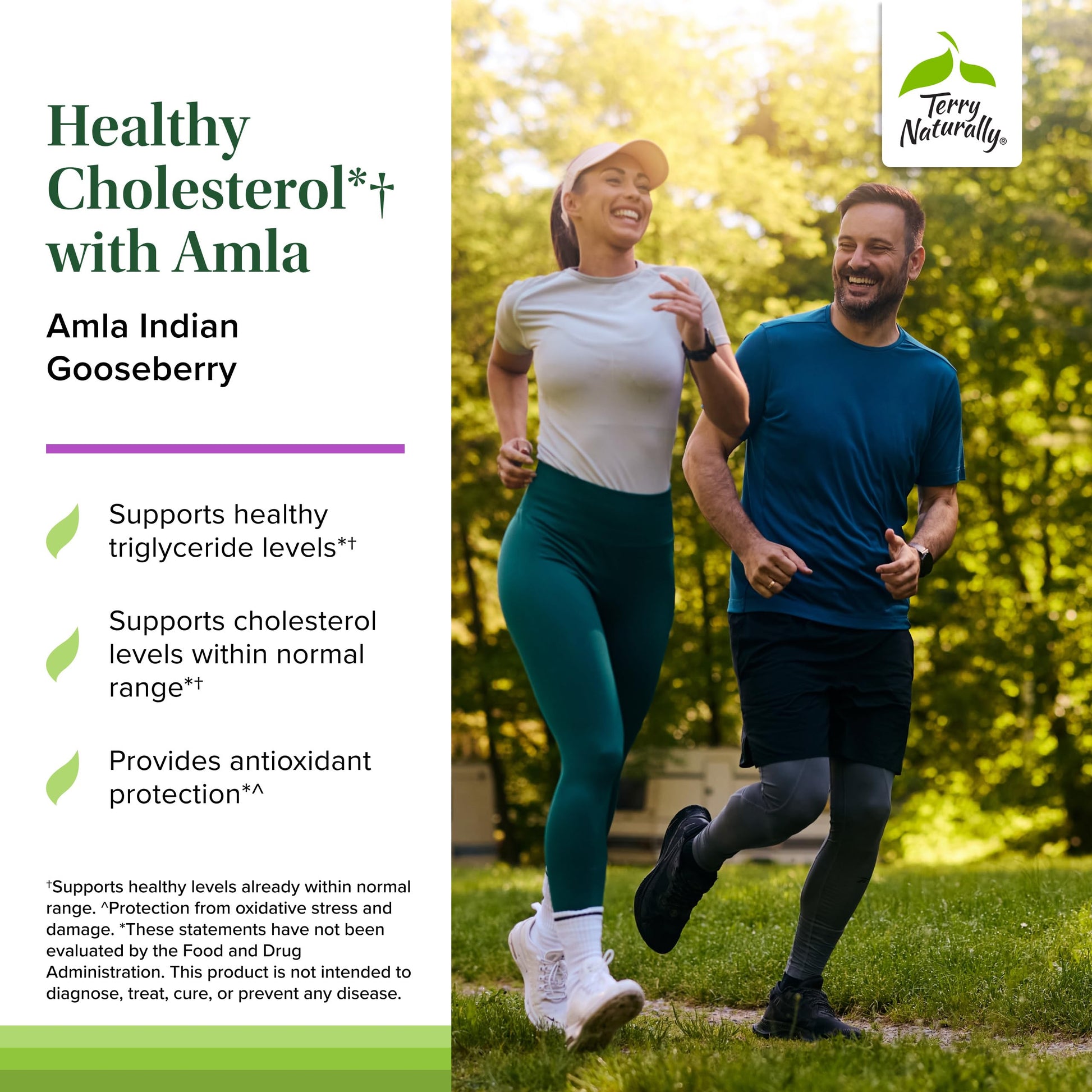 Terry Naturally Healthy Cholesterol with Amla - Antioxidant Supplement for Immune & Heart Support - Supplement to Aid Healthy Cholesterol & Triglyceride - 60 Capsules Terry Naturally uk supplements
