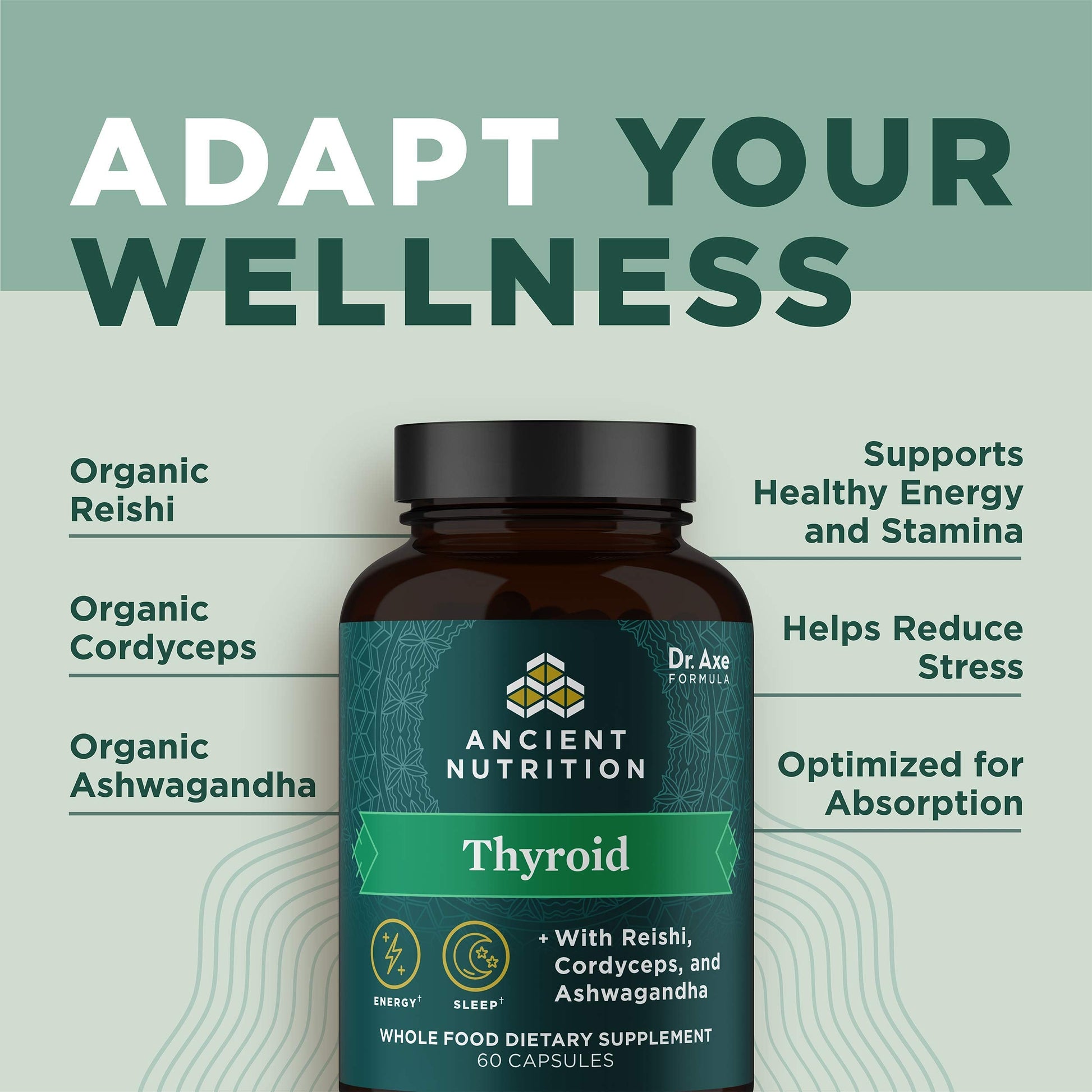 Ancient Nutrition Thyroid Support Supplement with Ashwaghanda, Thyroid Capsules Ancient Nutrition uk supplements