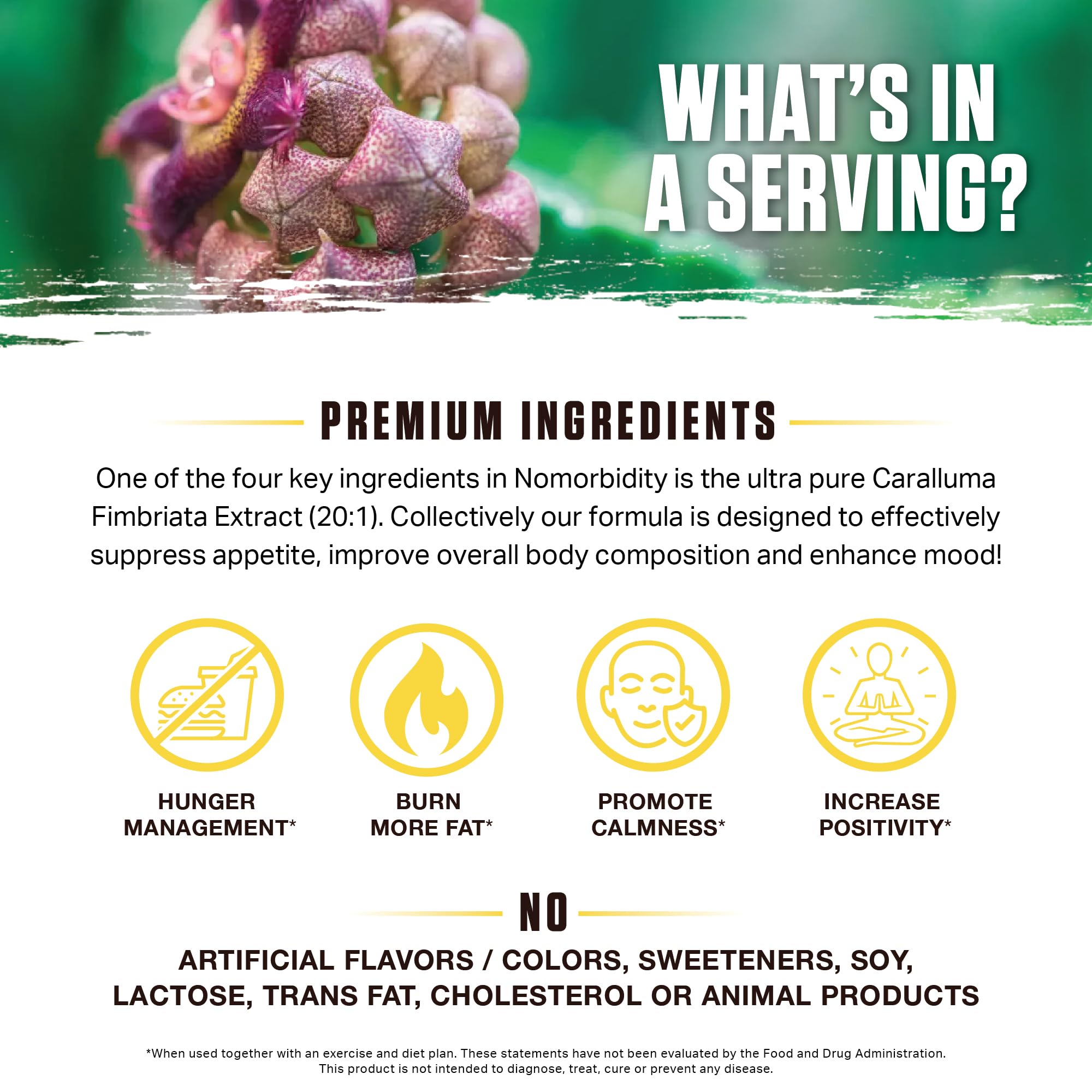 Ambrosia Nomorbidity Advanced Appetite Control & Hunger Management Formula Ambrosia uk supplements