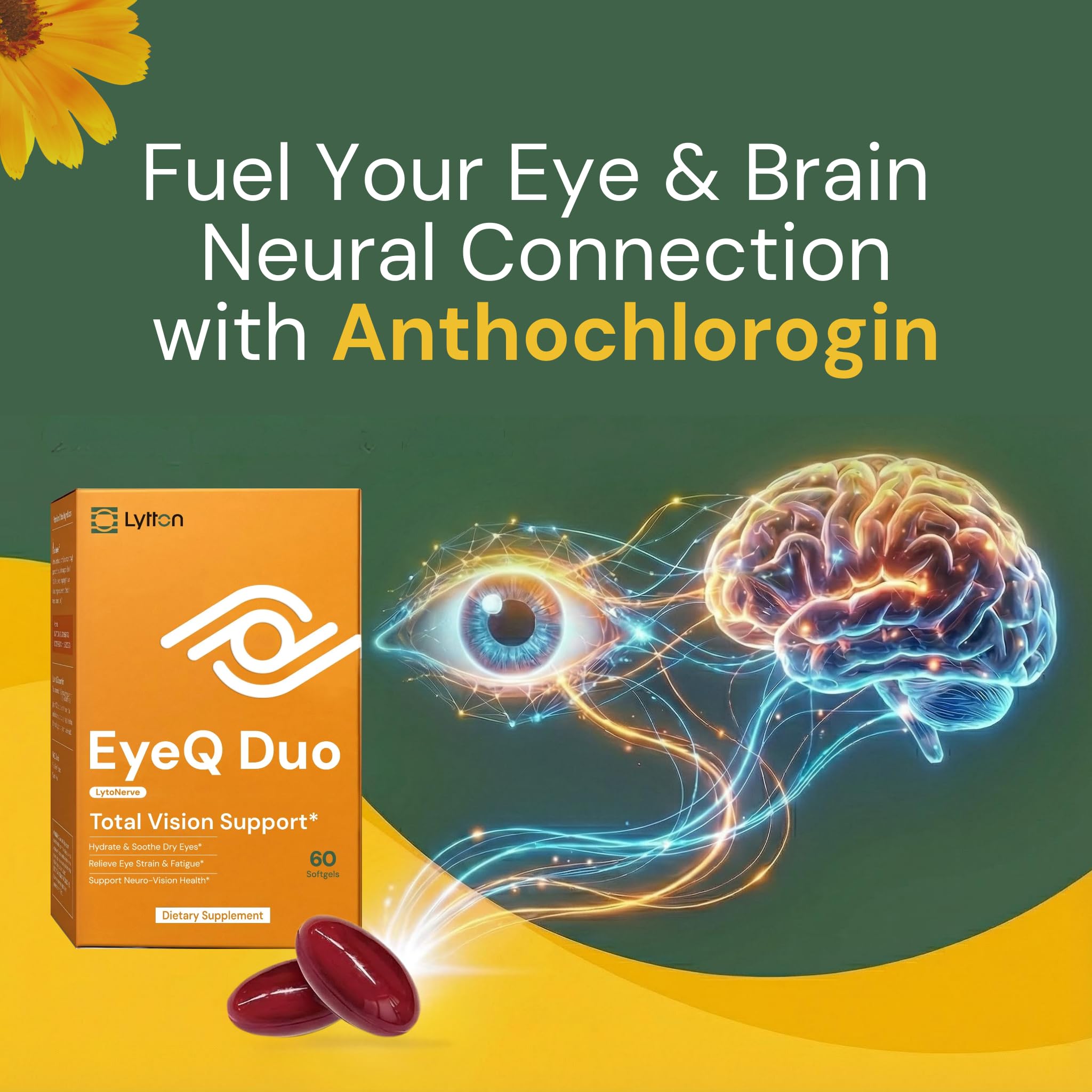 LYTTON EyeQ Duo Digital Eye & Focus Support – Patented Anthochlorogin for Brain-Eye Connection, Promotes Ocular Vitality – Rapid Visual Comfort & Natural Formula for Screen Users, 60 Softgels LYTTON uk supplements