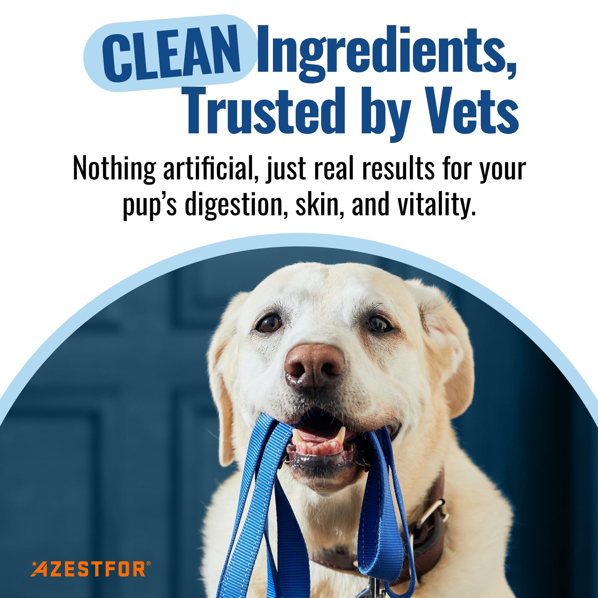 Azestfor Gut Health Supplement for Dogs – 3 in 1 Probiotic, Prebiotic & Postbiotic Blend – Supports Digestion, Immunity & Skin – Easy-to-Use Powder – for All Breeds & Sizes – 60g (30 Servings) Azestfor uk supplements