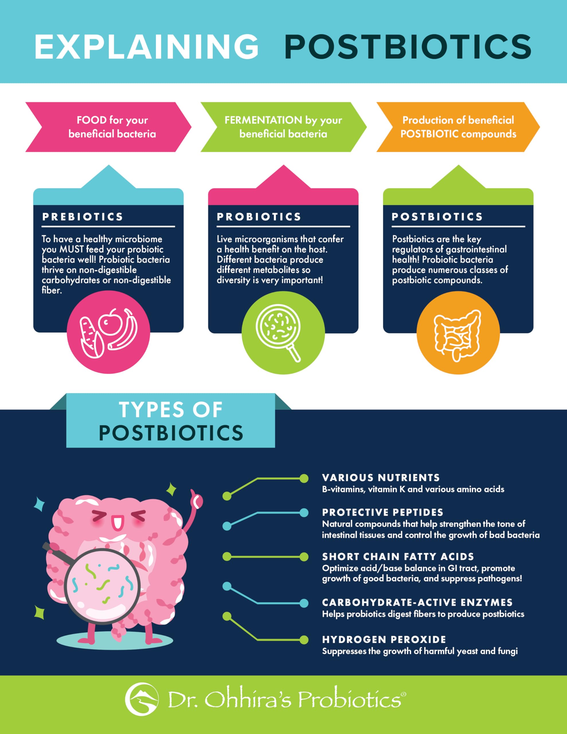 Essential Formulas Dr. Ohhira’s Probiotics Original Formula with 3 Year Fermented Prebiotics, Live Active Probiotics and The only Product with Postbiotic Metabolites, 60 Capsules Essential Formulas uk supplements