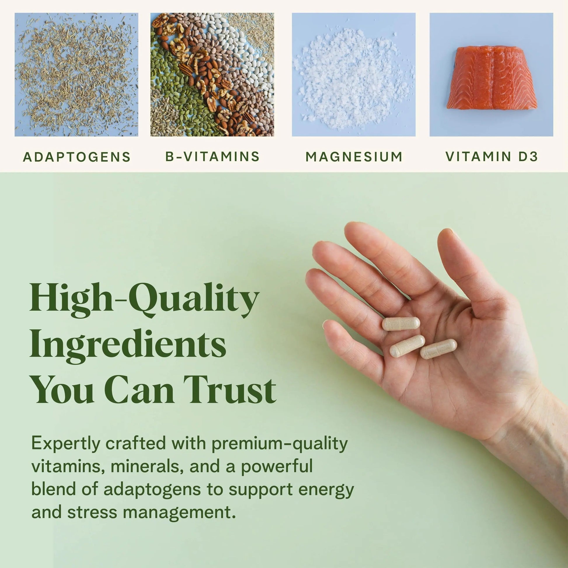 Healthy Response Daily Response Multivitamin 90 Capsules - Multivitamin + Adaptogen Blend for Energy & Stress Support Healthy Response uk supplements
