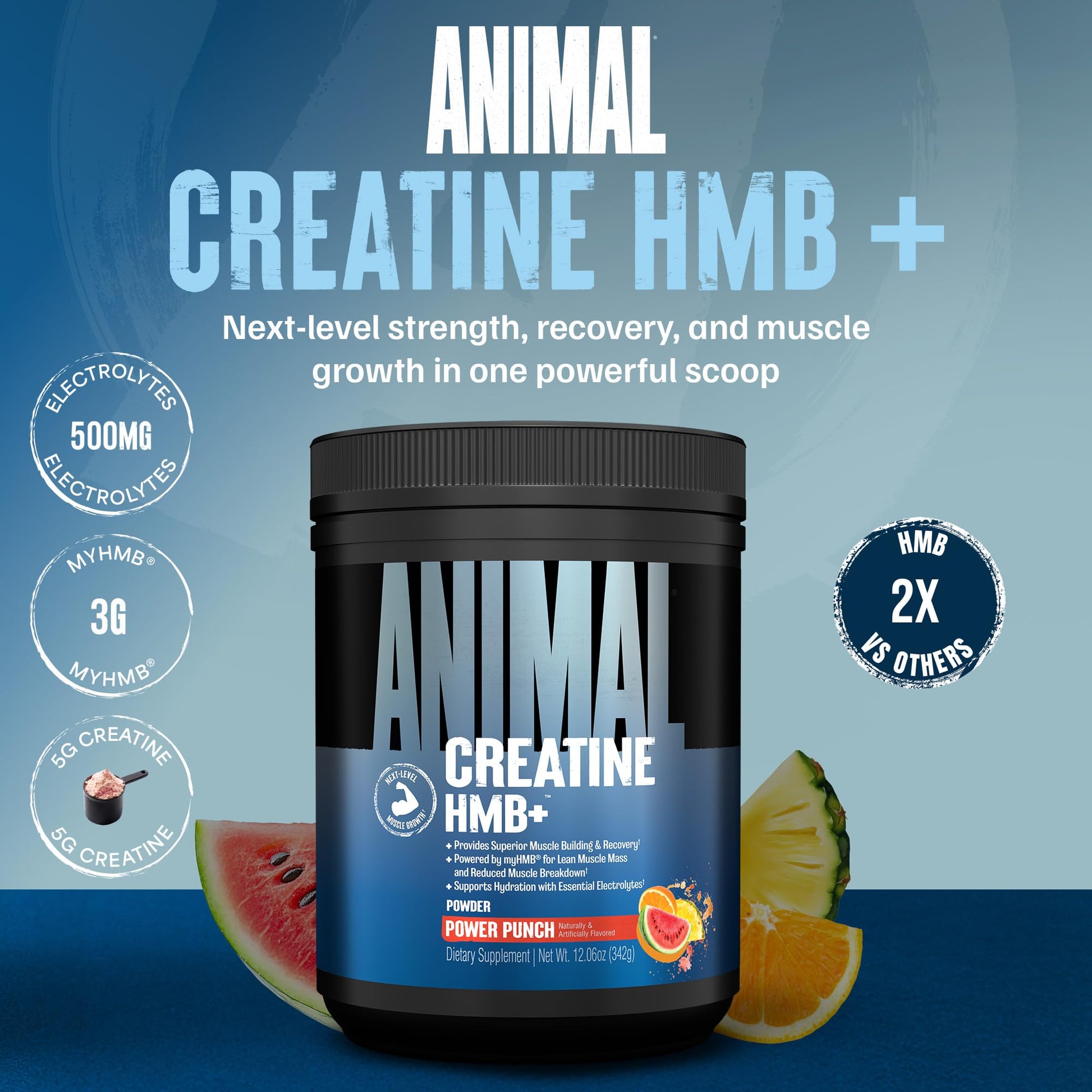 Animal Creatine HMB Powder – 3g myHMB + 5g Creatine with Electrolytes for Recovery & Daily Energy – Power Punch Flavor, 30 Servings Animal uk supplements