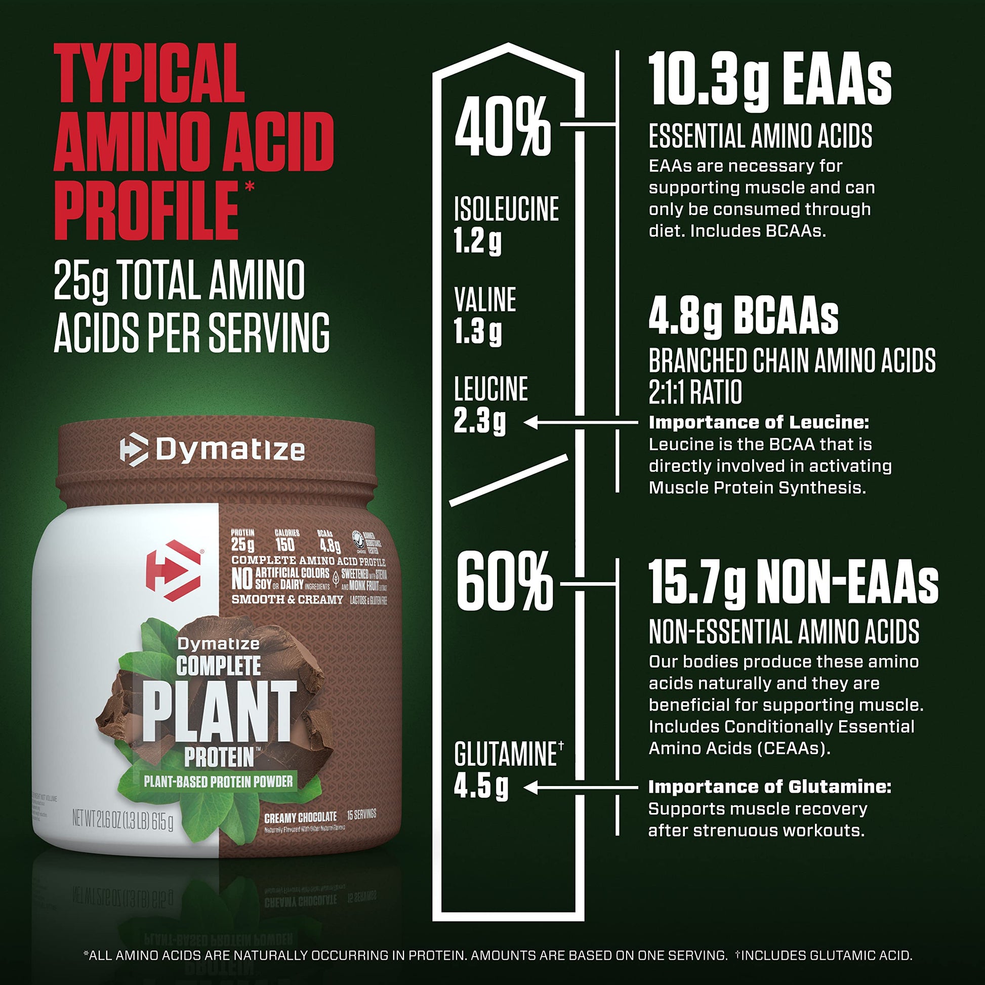 Dymatize Vegan Plant Protein, Creamy Chocolate, 25g Protein, 4.8g BCAAs, Complete Dymatize uk supplements