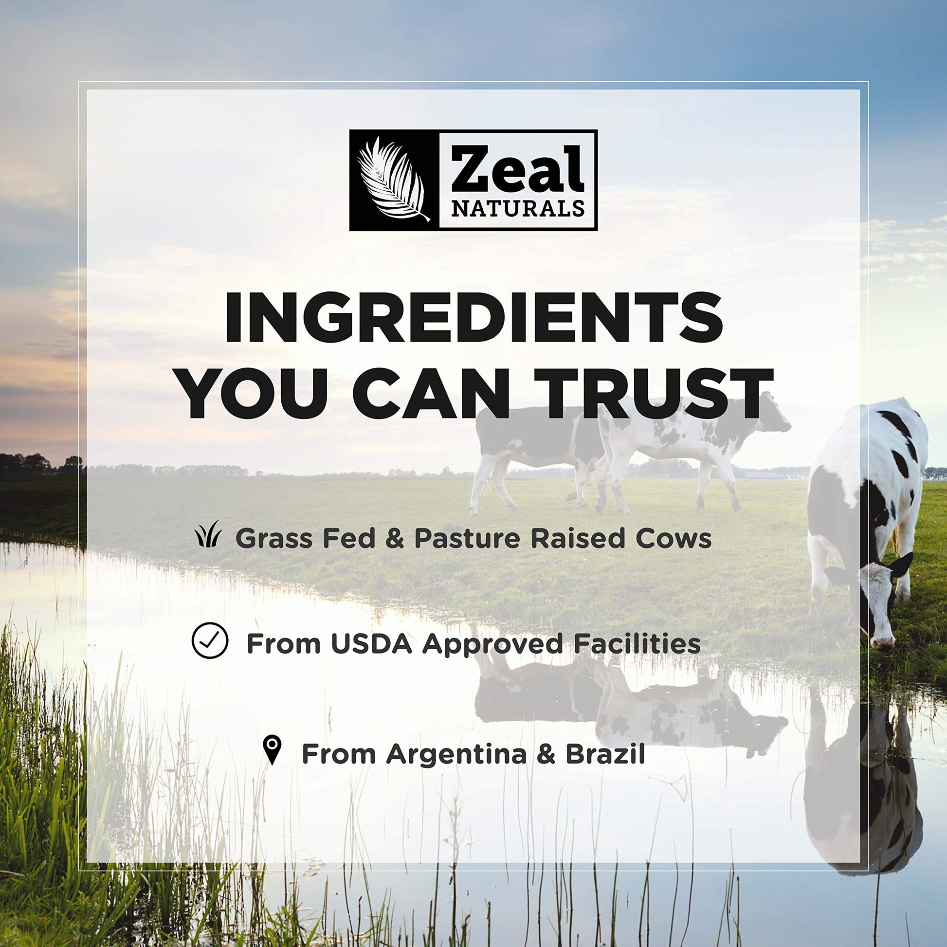 Zeal Naturals Collagen Peptides Collagen Pills (360 Capsules) Grass Fed Collagen Pepetide Powder - Hydrolyzed Collagen Powder for JointTendon SupplementHair Skin and Nails - Zeal Naturals uk supplements