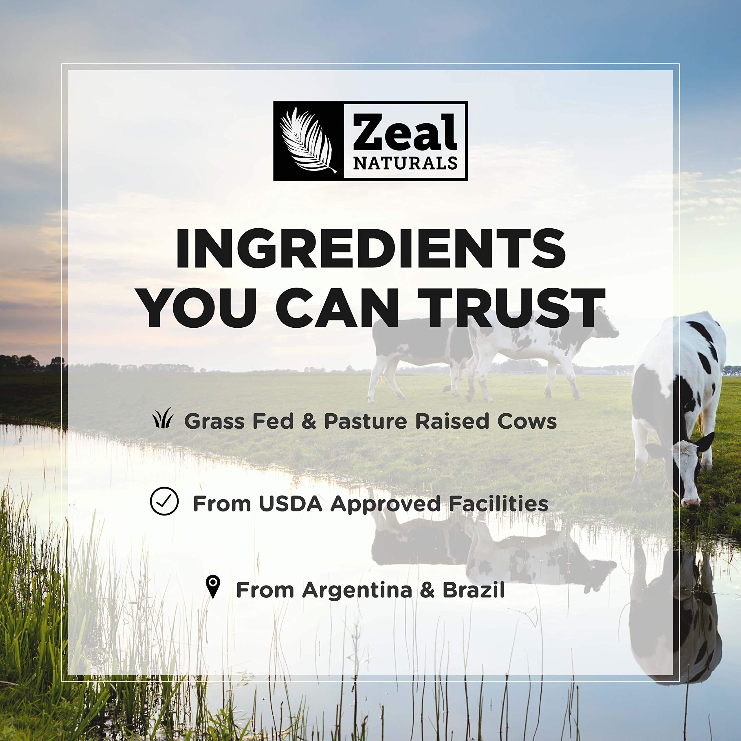 Zeal Naturals Collagen Peptides Collagen Pills (360 Capsules) Grass Fed Collagen Pepetide Powder - Hydrolyzed Collagen Powder for JointTendon SupplementHair Skin and Nails - Zeal Naturals uk supplements