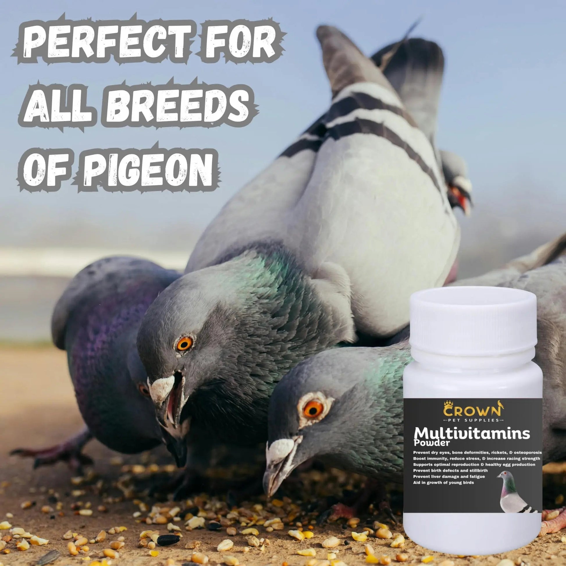 Multivitamin Powder for Pigeons – Ultimate Vitamin Formula for Racing & Breeding – Supports Growth, Bone Strength, Reproductive Health & Feather Health Crown Pet Supplies uk supplements