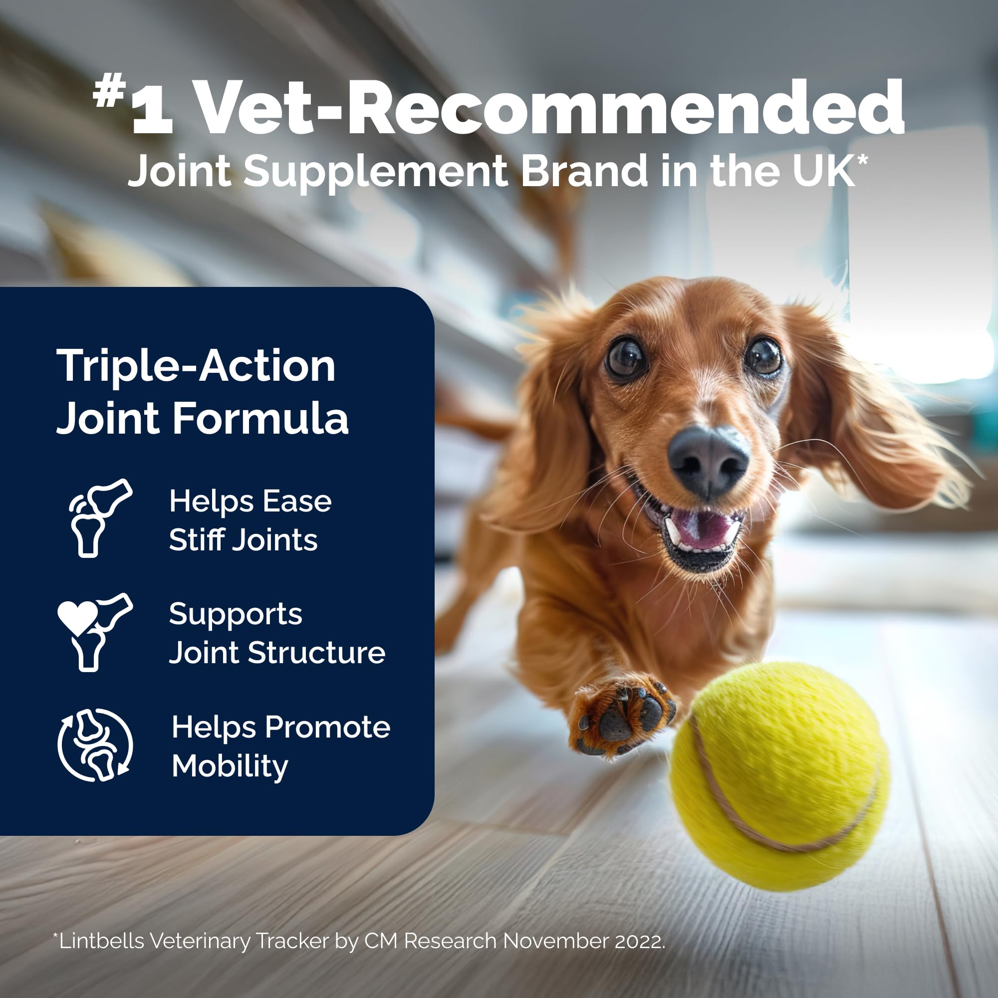 Yumove Hip & Joint Supplement for Dogs with Glucosamine, Hyaluronic Acid, Green Lipped Mussel & Omega 3 Joint Supplement - Regular or Advanced Strength (90 Count, Advanced Vet Strength Soft Chews) YuMOVE uk supplements
