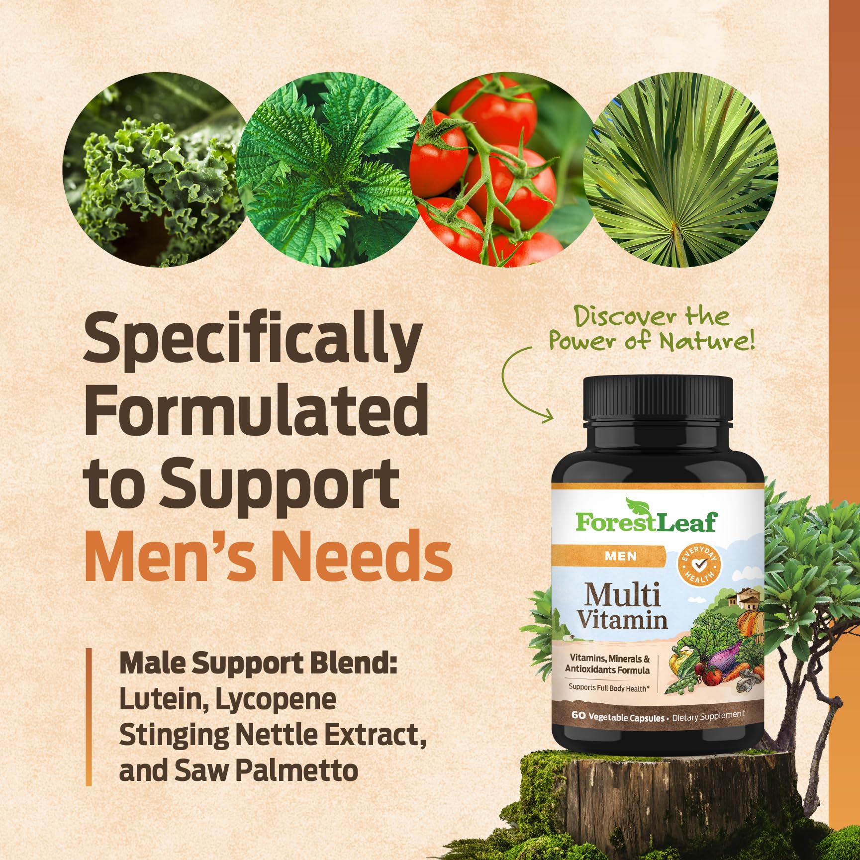 ForestLeaf Daily Vitamin Multivitamin for Men, Multi-Vitamin for Men - Mens Multivitamins & Multiminerals Supplement | All Essential Vitamins Needed for Health, Longevity & Energy | 60 Veg Caps ForestLeaf uk supplements