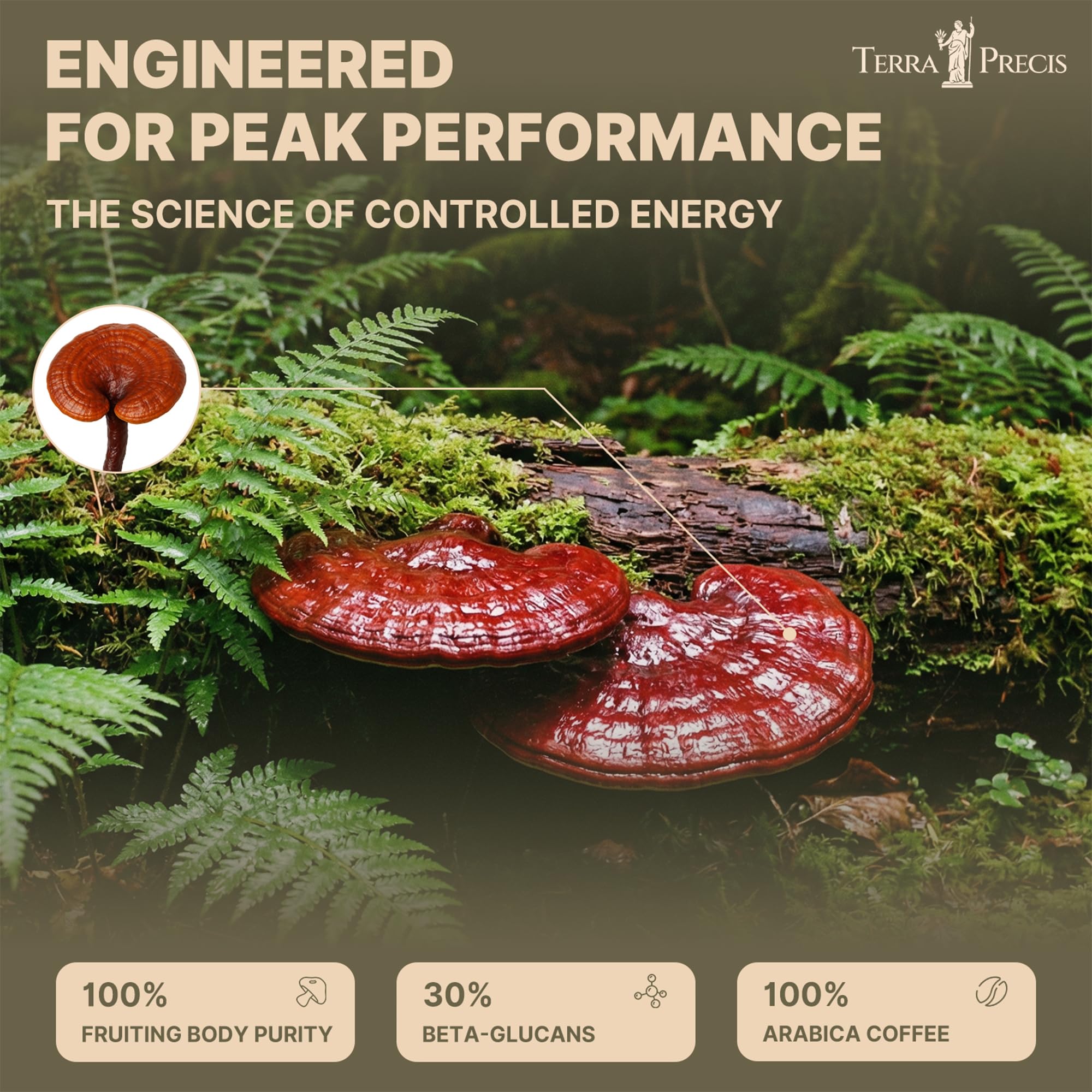 TerraPrecis Mushroom Coffee with 6 Adaptogens Mushrooms Supplement for Organic Lion's Mane&Reishi,Chaga&Other, Instant Coffee with MCT Oil& Arabica for Energy,Focus&Immune Support (30 Servings) TerraPrecis uk supplements