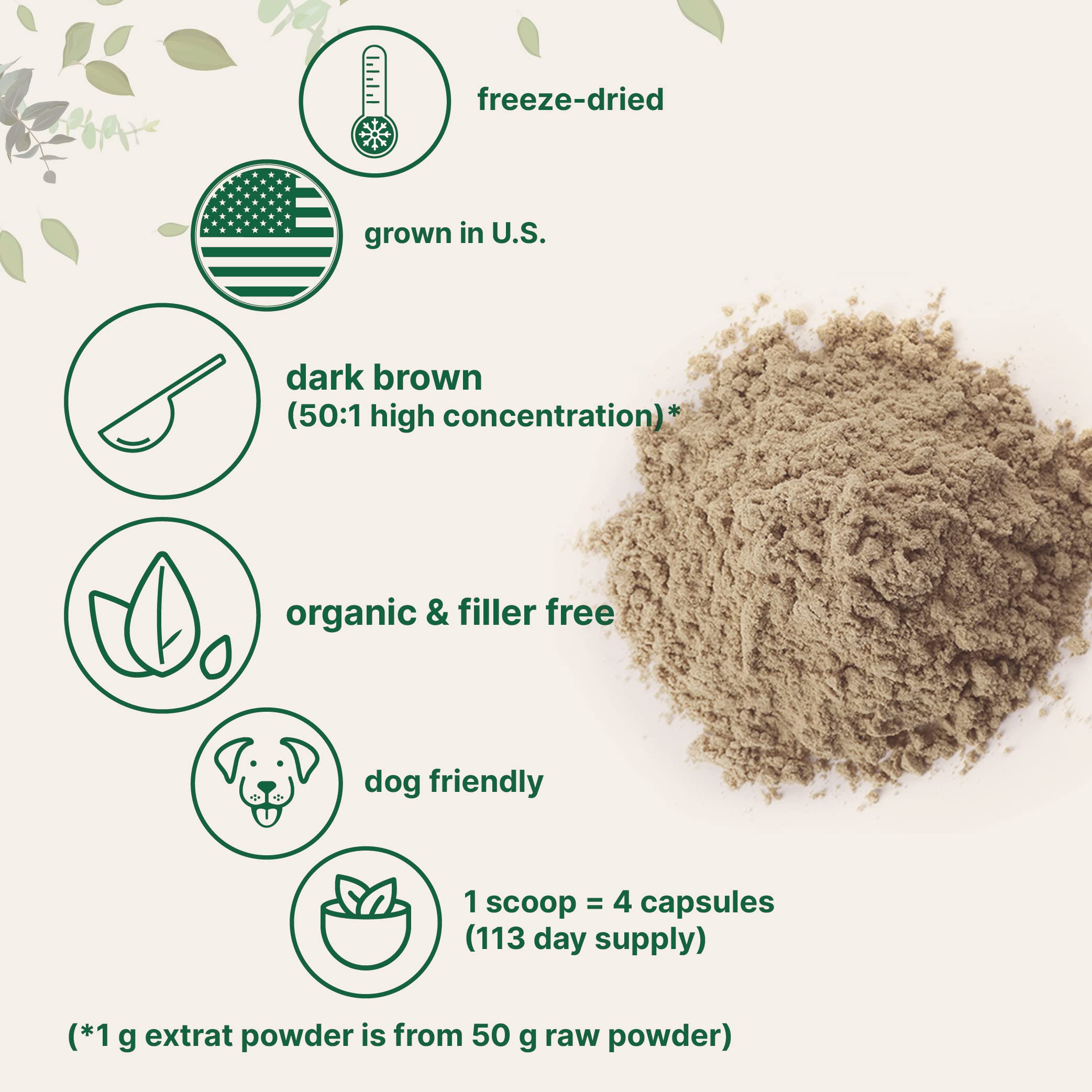 Organic Turkey Tail Mushroom Powder (50:1 Extract), 8 Ounce | Sustainably US Grown Micro Ingredients uk supplements