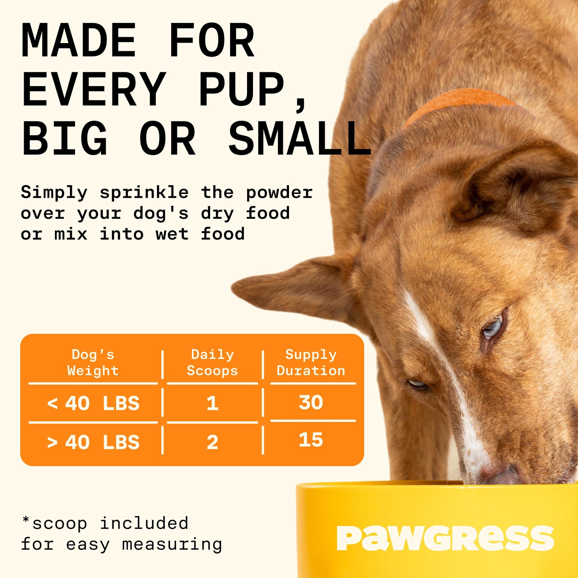 Pawgress 5-in-1 Dog Probiotic Powder – 100% Natural Gut Health Support with Prebiotics, Postbiotics & Enzymes - Made in USA – 30 Scoops PAWGRESS uk supplements