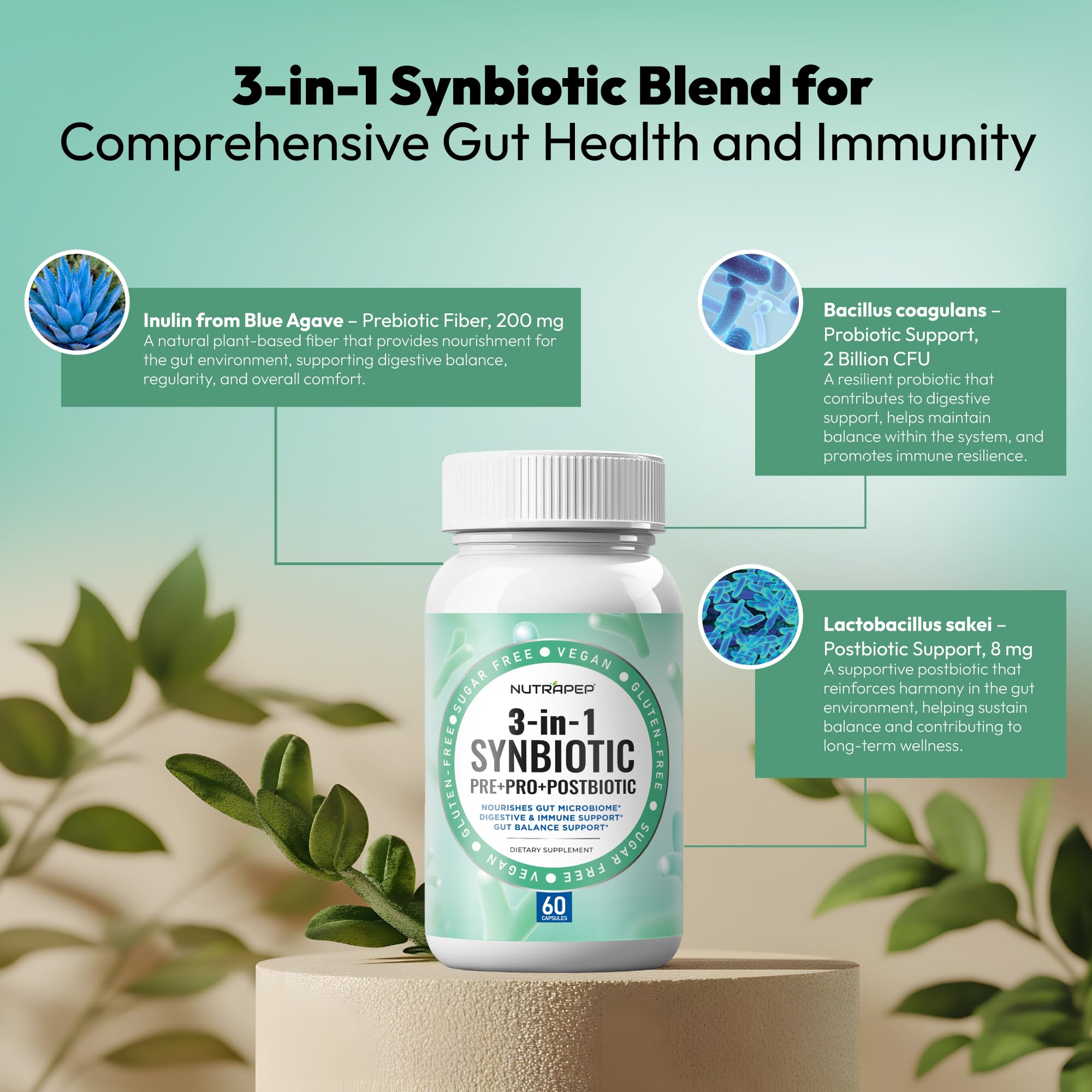 NutraPep Synbiotics Probiotic Prebiotic Postbiotic - Daily Gut Health Support with Pre Pro & Post Biotics for Men Women - Digestive & Immune Support Balance Synbiotic Supplement - Vegan Gluten Free NutraPep uk supplements