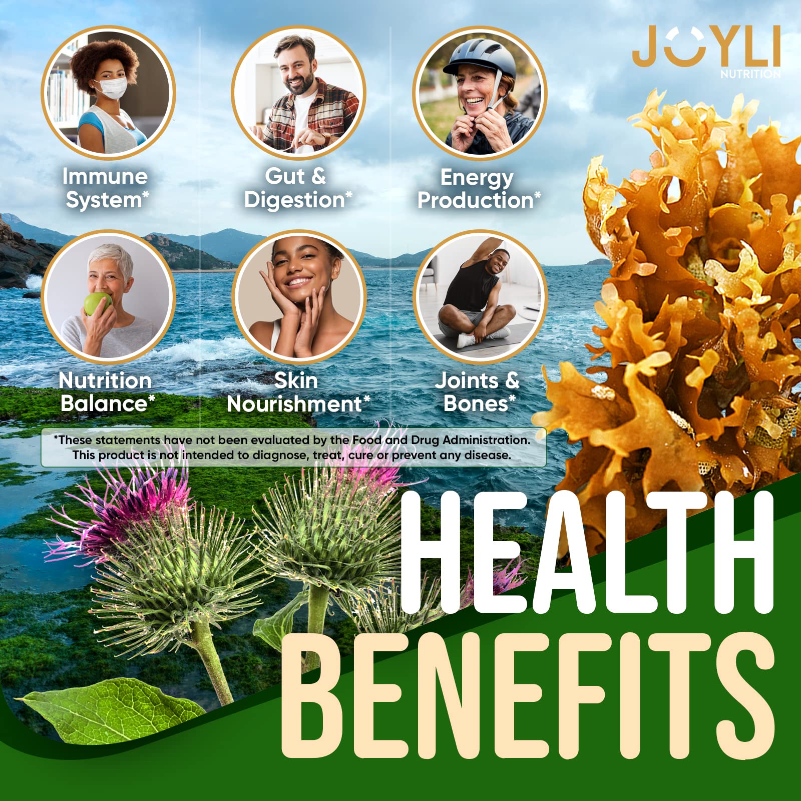 Sea Moss Gummies - Irish Seamoss Gummies for Adults & Kids - Advanced Superfood Supplement with Natural Sea Moss Gel, Bladderwrack & Burdock Root Extract - 60 Vegan Irish Moss Gummy Bears JOYLI Nutrition uk supplements