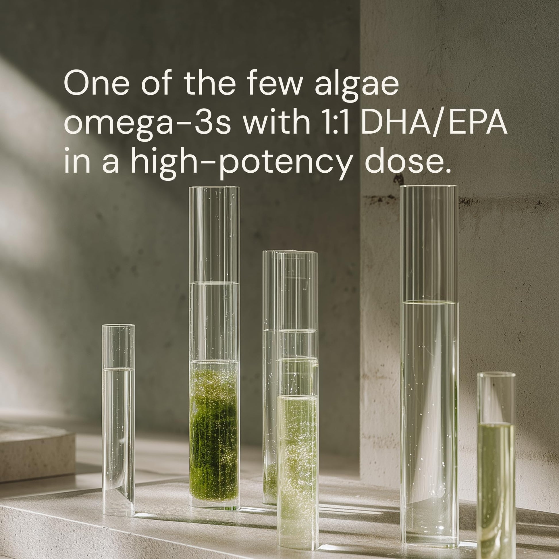 Blueprint Bryan Johnson Omega-3 - Vegan Algae Omega 3 Supplement with EPA/DHA - 800mg Plant-Based for Brain, Heart & Joint Support - High Absorption Triglyceride Form - 1:1 EPA/DHA Blueprint Bryan Johnson uk supplements