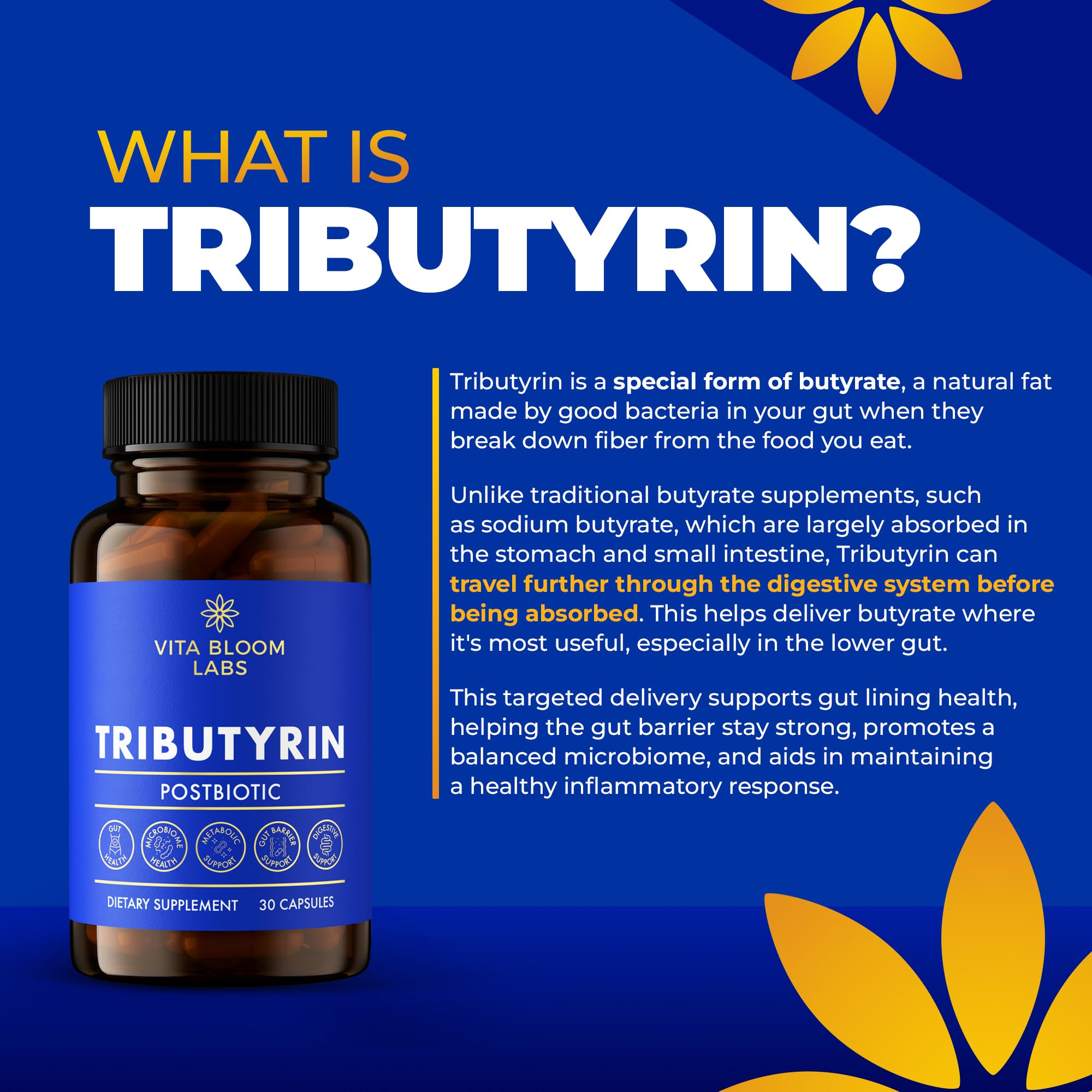 Tributyrin Supplement - Better Delivery & More Effective than Sodium Butyrate - Gut Health & Digestive Support - 3-in-1 Butyrate Postbiotics for Leaky Gut & Gut Barrier Support - 30 Capsules Vita Bloom Labs uk supplements