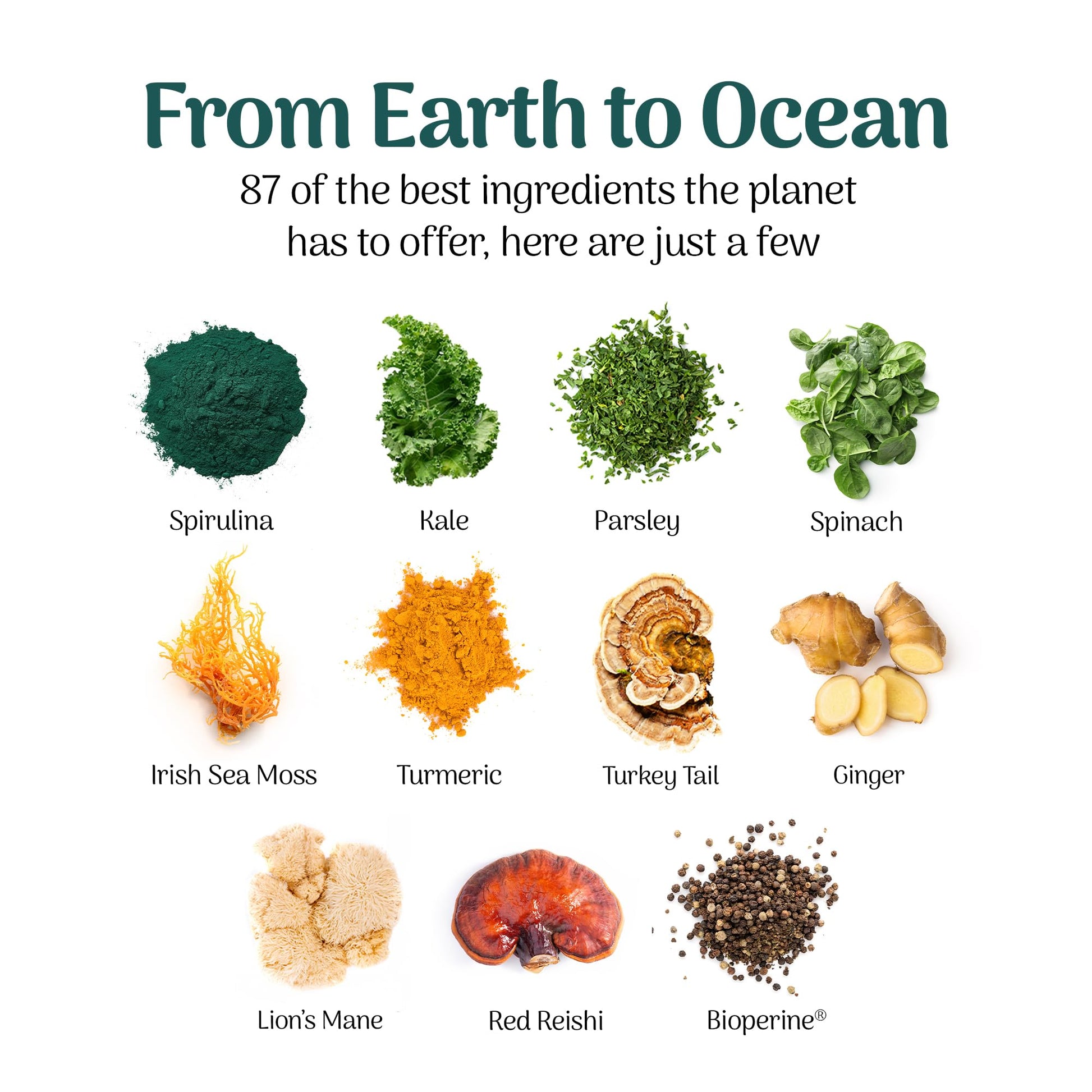 Earth Powder Daily Foundational Nutrition Supplement with 28 Greens & 10 Mushrooms | 87 Nutrients for Energy, Gut Health & Mental Clarity Earth Powder uk supplements