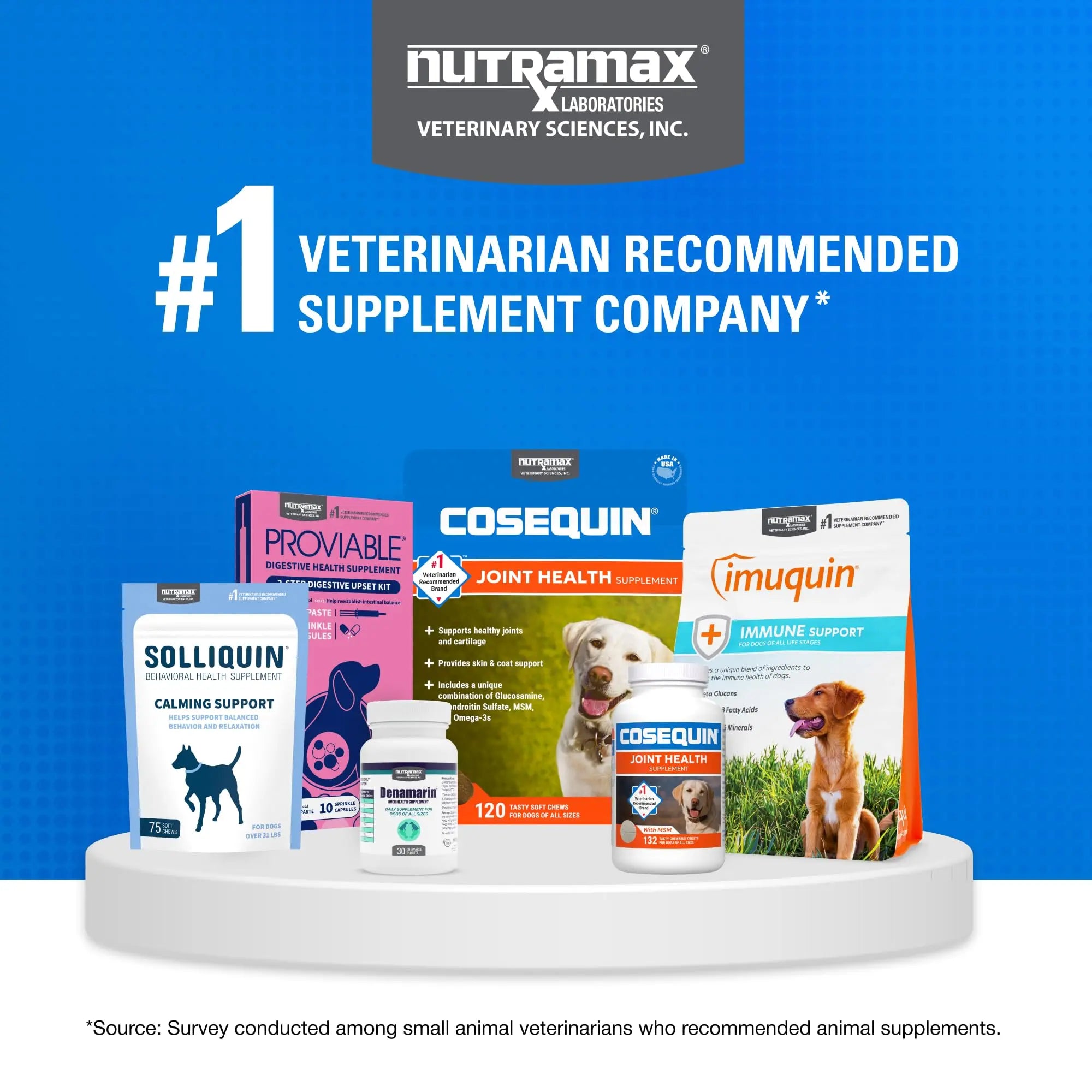 Nutramax Laboratories Cosequin Maximum Strength Joint Health Supplement for Dogs - With Glucosamine, Chondroitin, and MSM, 2 Pack, 264 Total Chewable Tablets Nutramax Laboratories uk supplements