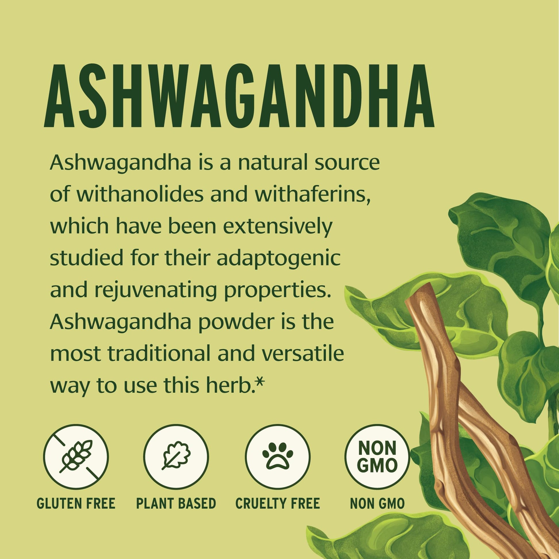 Banyan Botanicals Organic Ashwagandha Root Powder–1lb Bulk (504 Servings)Natural Cortisol Manager & Adrenal Support–Stress Relief, Better Sleep & Energy–Adaptogen for Smoothies & Moon Milk–Vegan,FFL* Banyan Botanicals uk supplements