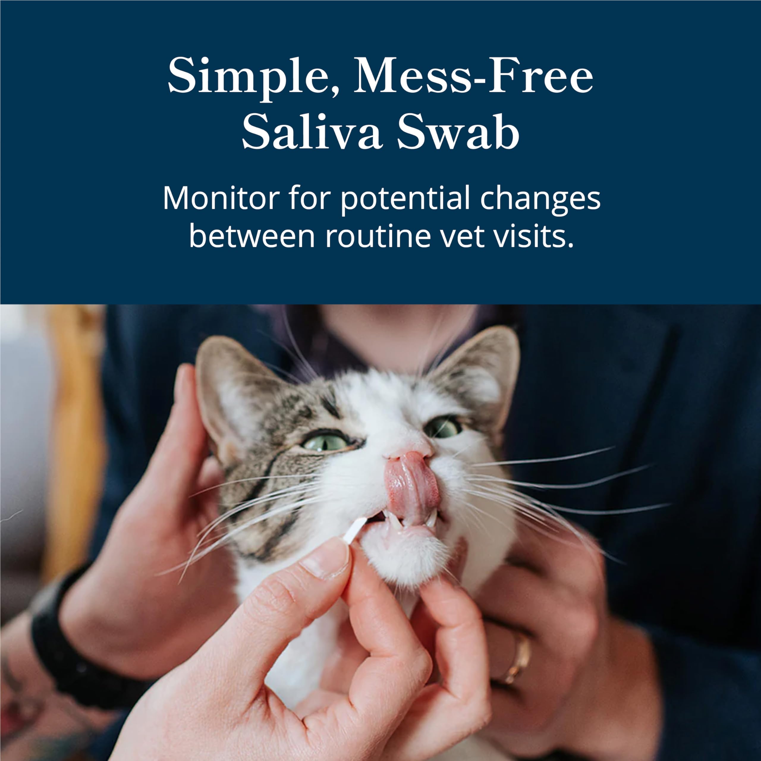 Petivity At-Home Kidney Health Test Kit for Cats — Quick Saliva Urea Test (2-Minute Home Check), Powered by Purina — Help Detect Early Kidney Changes - (Pack of 3) petivity uk supplements