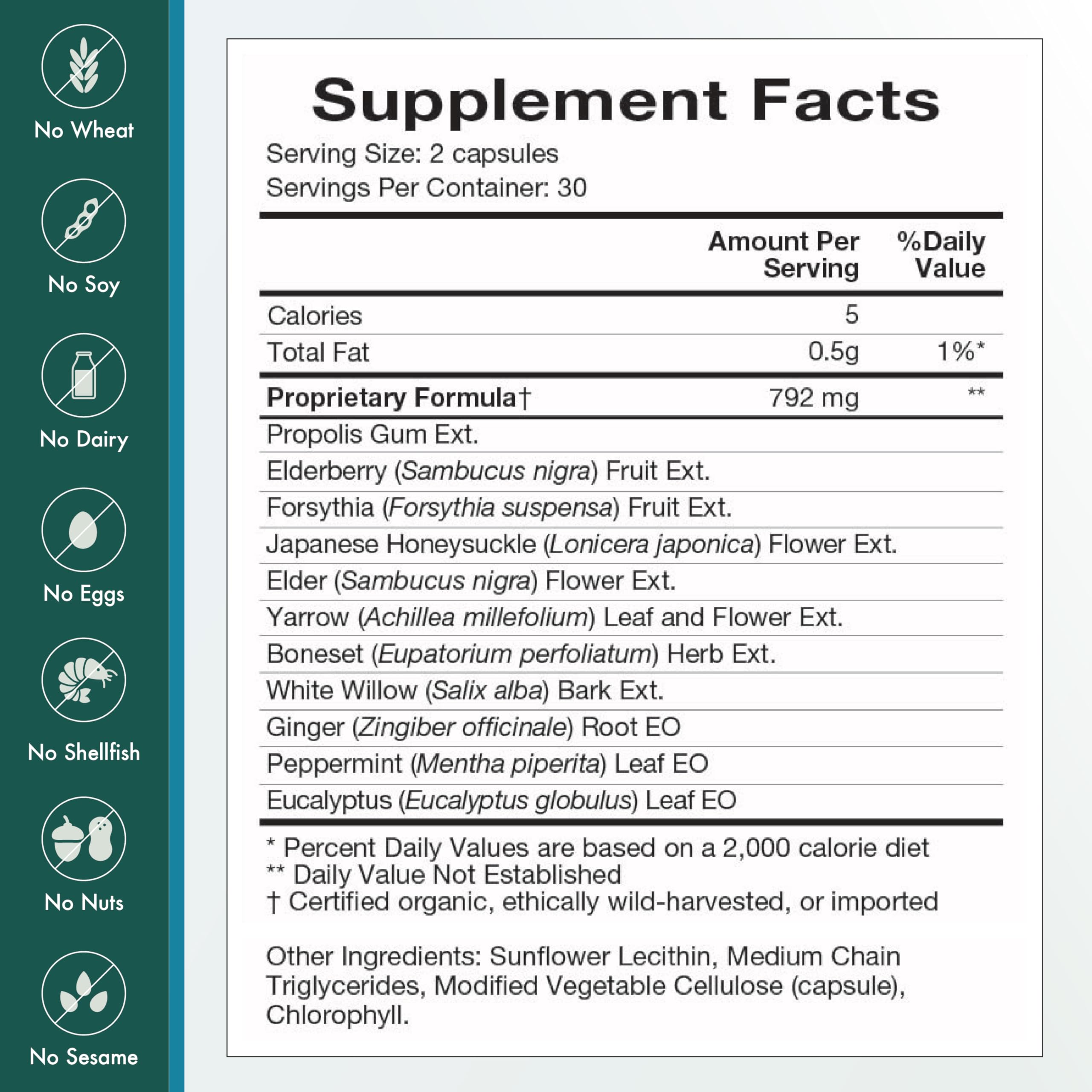 Natura Health Products Flew Away Supplement - Immune System Support & Seasonal Defense - Featuring Ginger, Elderberry, Propolis and Eucalyptus (60 Capsules) Natura Health Products uk supplements
