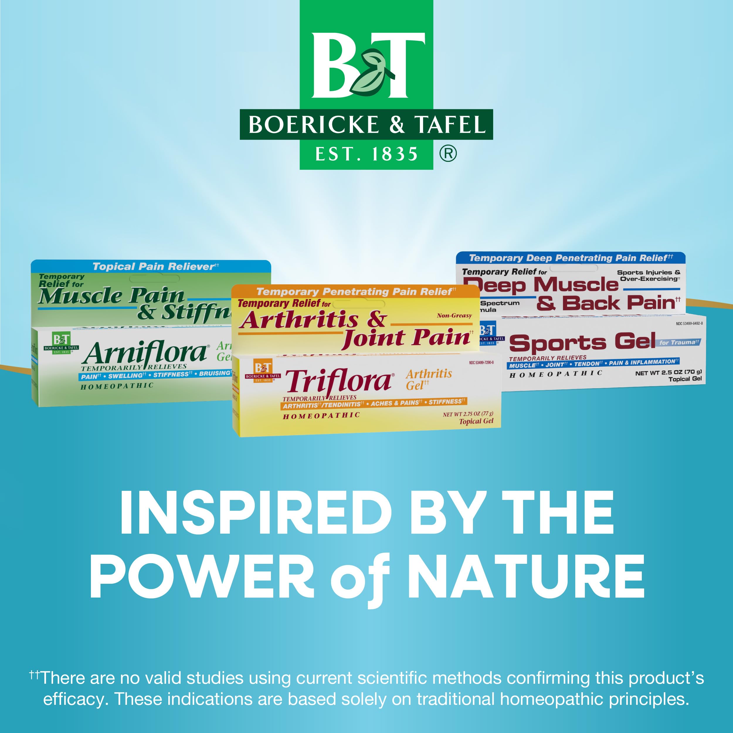 Boericke and Tafel Triflora Arthritis Gel, 2.75 Ounce Nature's Way uk supplements