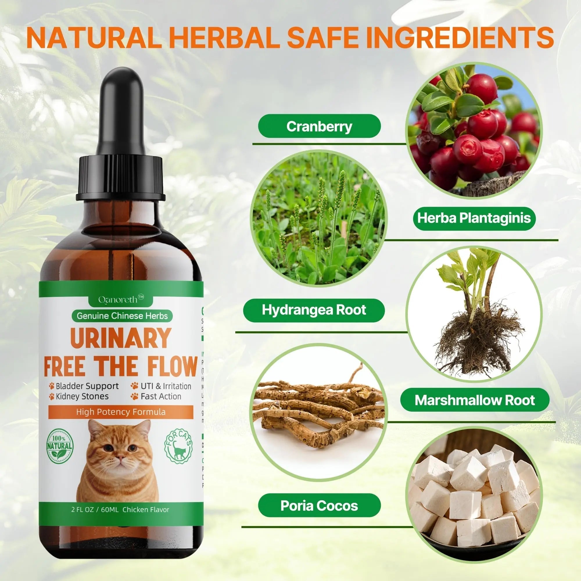 Cat Bladder Remedy for Stones & Crystals, Kidney StonesDissolver forCat- Urinary Free The Flow - Cat Urinary Tract Infection Treatment for Stones, Herbal CatUTI Remedy for Stone Relief & Prevention Qanoreth uk supplements