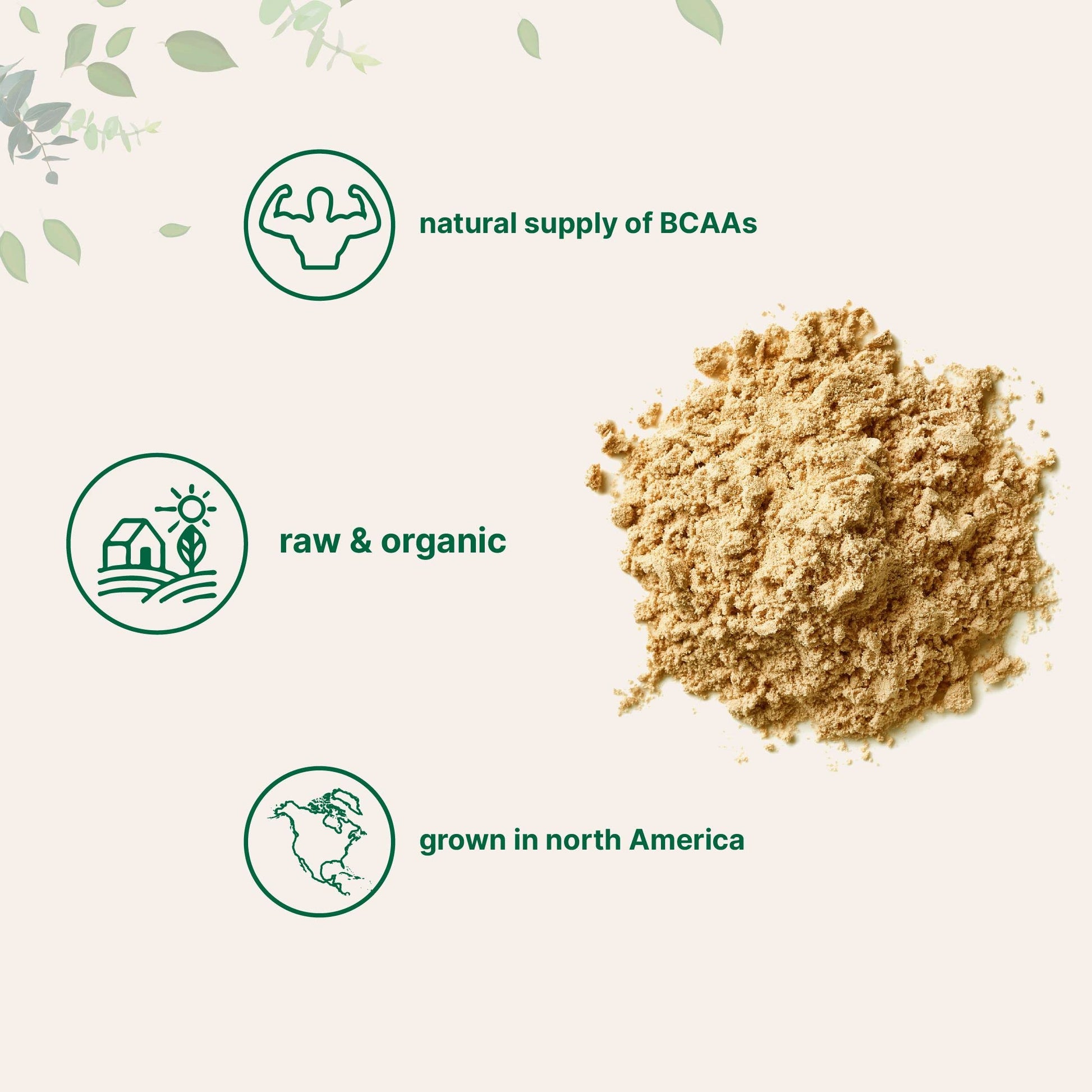 North America Grown, Organic Pea Protein Powder, 1KG (2.2 Pounds) | Plant-Based Vegan Protein, Meatless Protein Supplement, Natural Branched Chain Amino Acids | Non-GMO, Soy Free Micro Ingredients uk supplements