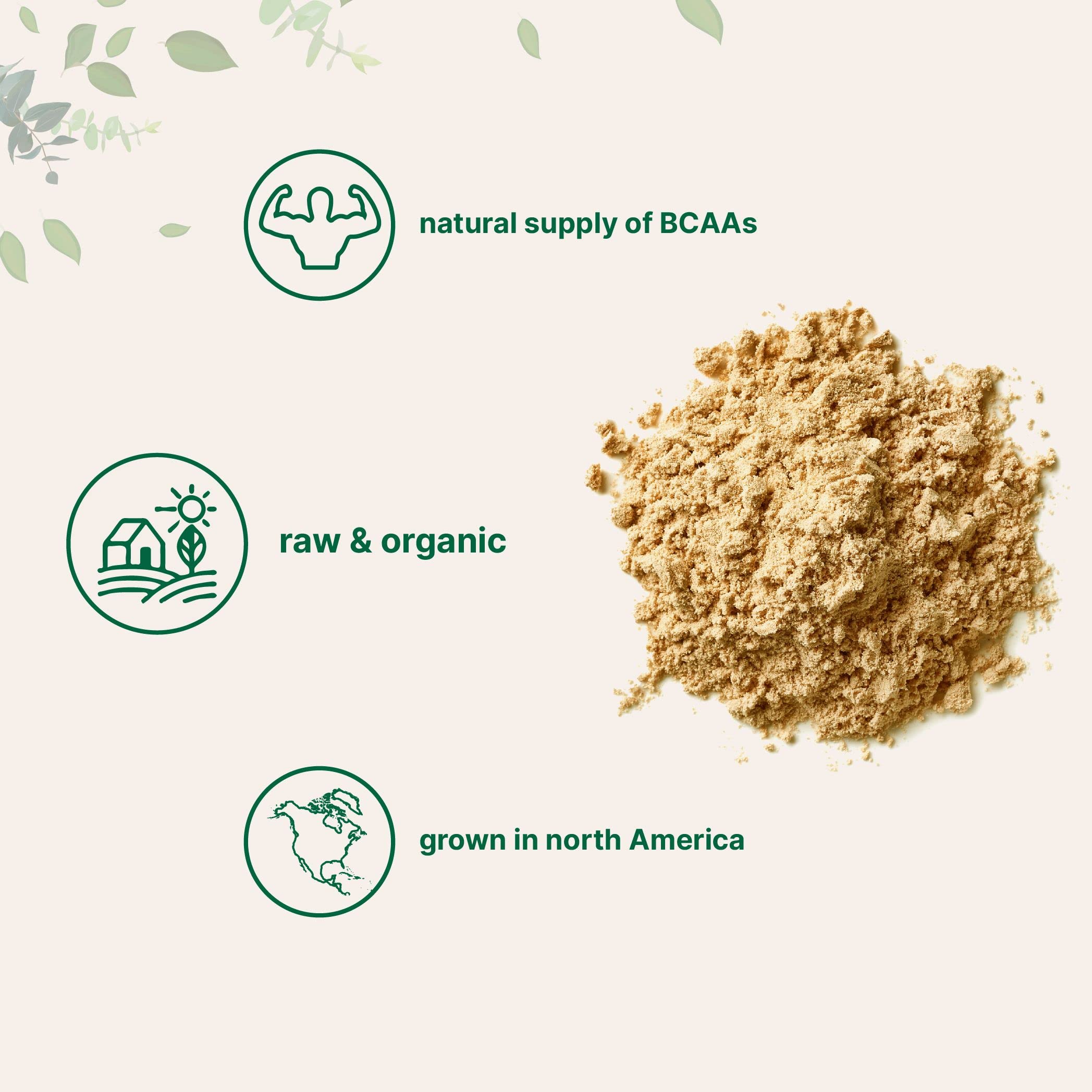 North America Grown, Organic Pea Protein Powder, 1KG (2.2 Pounds) | Plant-Based Vegan Protein, Meatless Protein Supplement, Natural Branched Chain Amino Acids | Non-GMO, Soy Free Micro Ingredients uk supplements