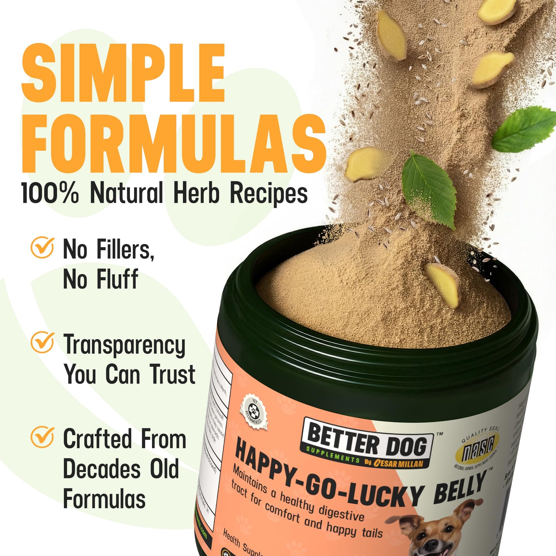 Better Dog Supplements Happy-Go-Lucky Belly by Cesar Millan - Natural Dog Digestive Support Powder – Dog Constipation Relief, Gut Balance & Regularity with Herbal Fiber for Dogs – 4oz (60-Day Supply) Better Dog Supplements By Cesar Millan uk supplements