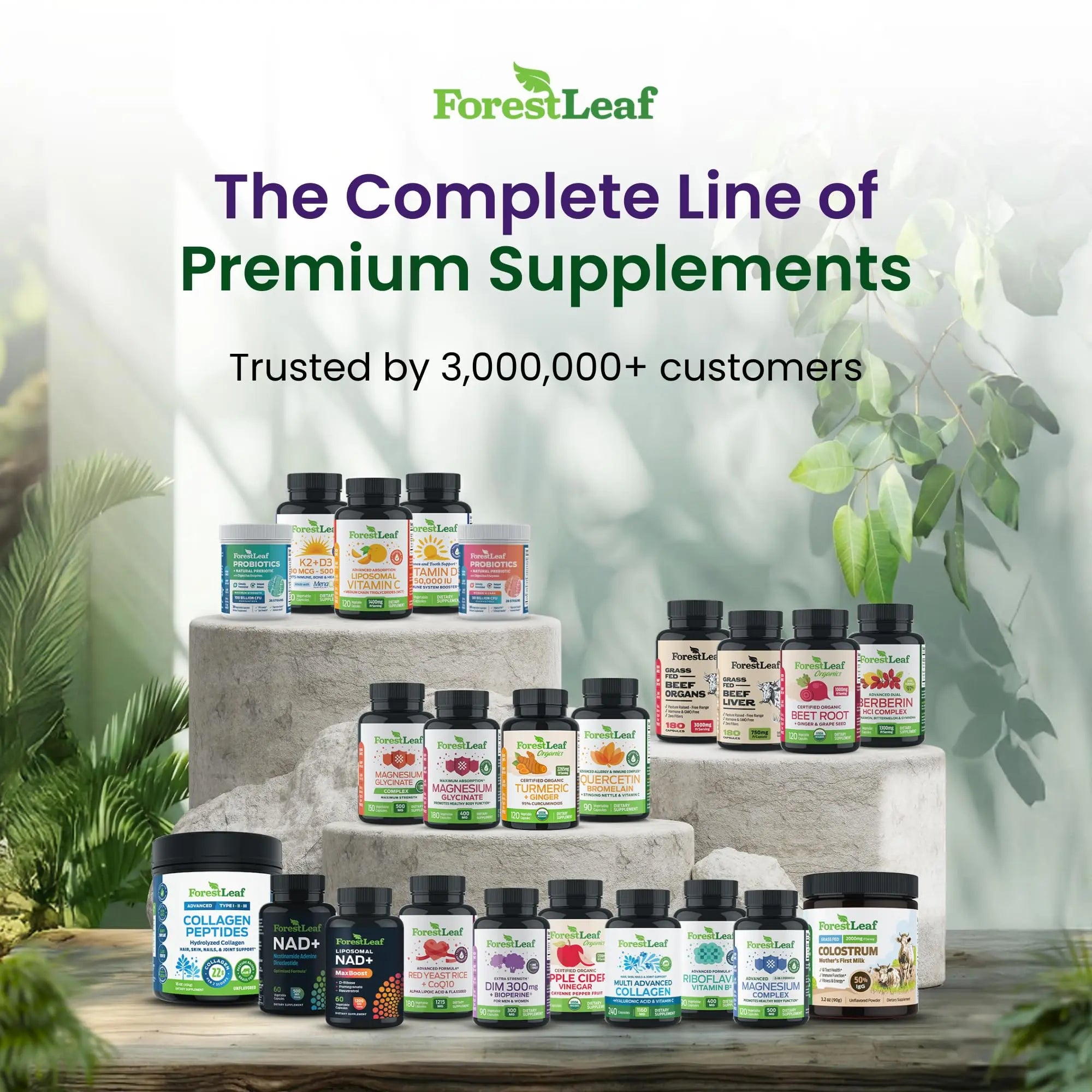 ForestLeaf Glucosamine Chondroitin MSM Joint Supplement Complex - 1200mg - 120 Caps ForestLeaf uk supplements