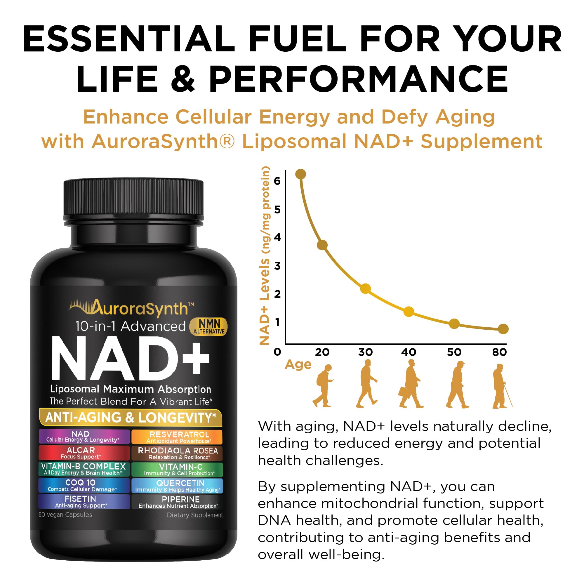 NAD+ Supplement Liposomal Capsules - Max Absorption for Cellular Energy, Healthy Aging, Brain Function & DNA Health - Vegan, Non-GMO, Gluten-Free Supplement - 60 Capsules - Supports NAD Levels AuroraSynth uk supplements