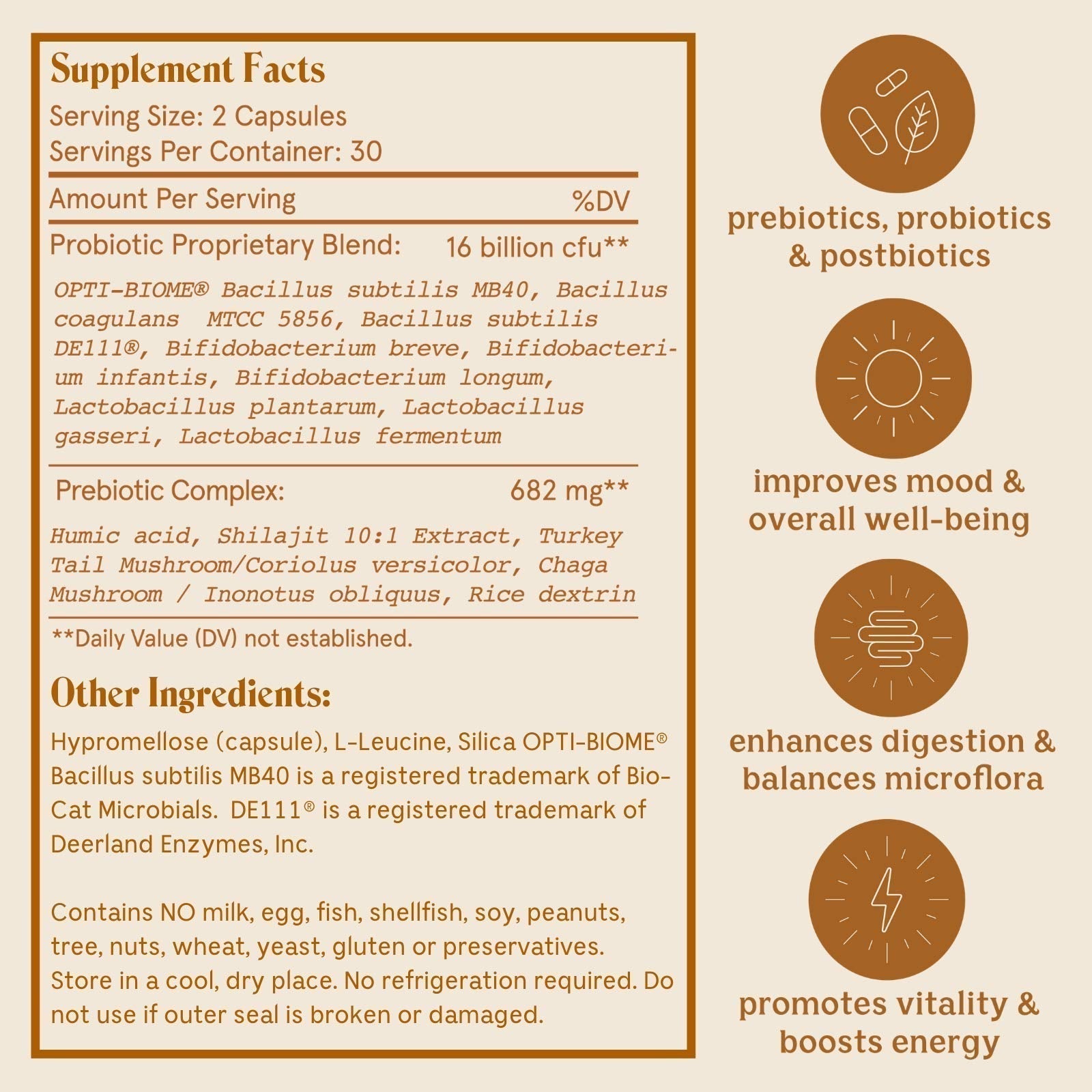 Feel Good SBO Probiotics — Soil Based Organisms (SBOs), Prebiotics, Postbiotics, Humic Acid, Shilajit, Chaga & Turkey Tail Mushroom for Digestion — Solluna by Kimberly Snyder (60CT) Vegan & Non-GMO Solluna by Kimberly Snyder uk supplements