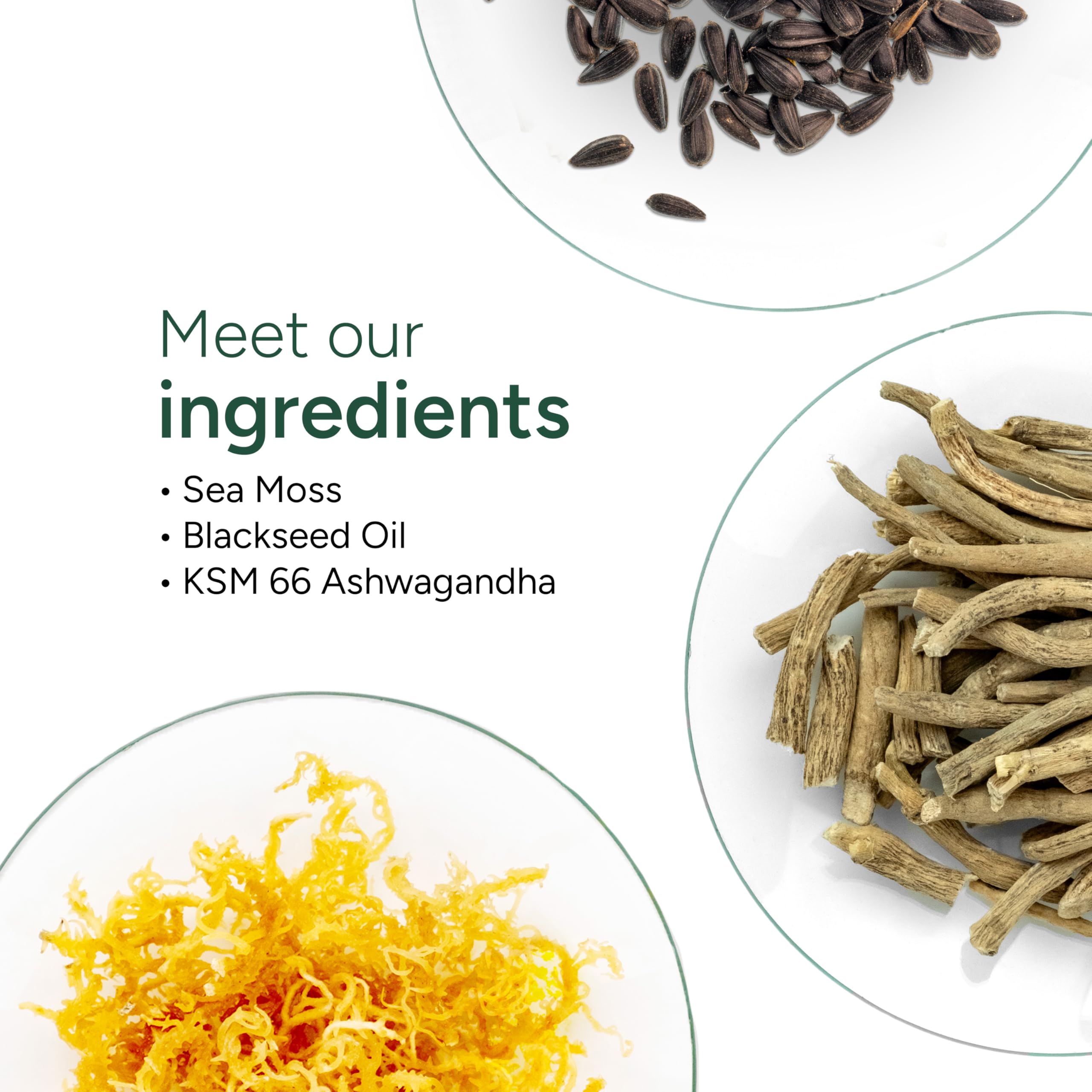 ROOT LABS Sea Moss Gummies I 92+ Minerals I Black Seed Oil I KSM 66 Ashwagandha I Lab Tested I No Added Sugar | for Men, Women I Non-GMO I 100% Natural & Organic I 1600 mg I 120 Gummy ROOT LABS uk supplements