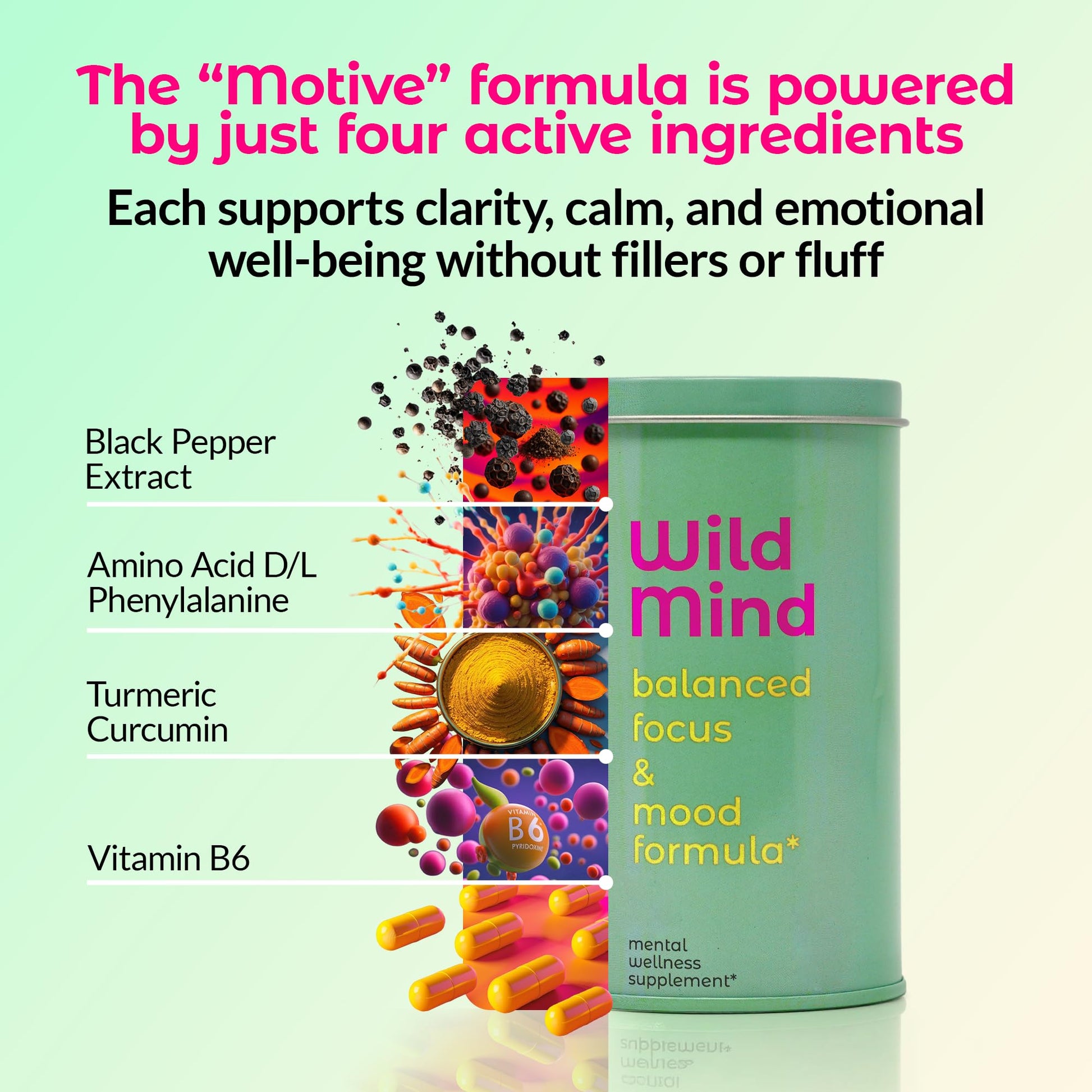 Wild Mind Mental Clarity Balanced Focus & Mood Support Supplement for Mental Wellness– 4-Ingredient Nootropic Brain Support for Calm & Energy – Vegan, 90 Capsules, 30-Day Supply Wild Mind uk supplements
