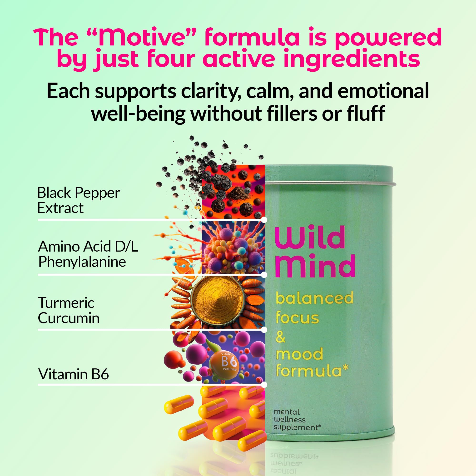 Wild Mind Mental Clarity Balanced Focus & Mood Support Supplement for Mental Wellness– 4-Ingredient Nootropic Brain Support for Calm & Energy – Vegan, 90 Capsules, 30-Day Supply Wild Mind uk supplements