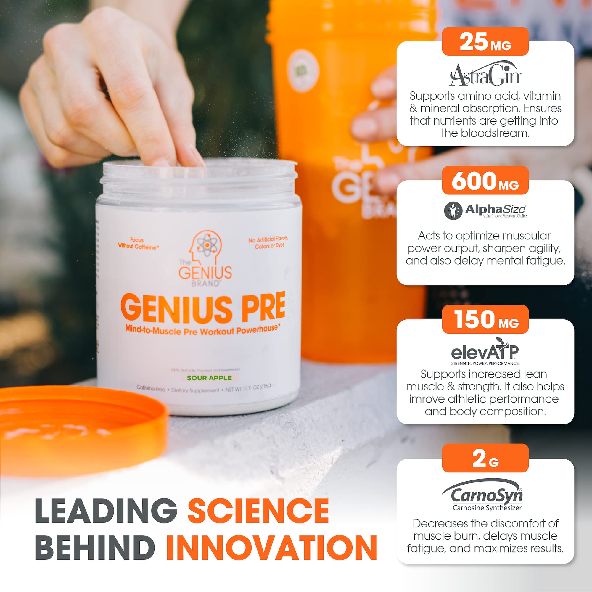 Genius Pre Workout Powder, Sour Apple, and Genius Micronized Creatine Monohydrate The Genius Brand uk supplements